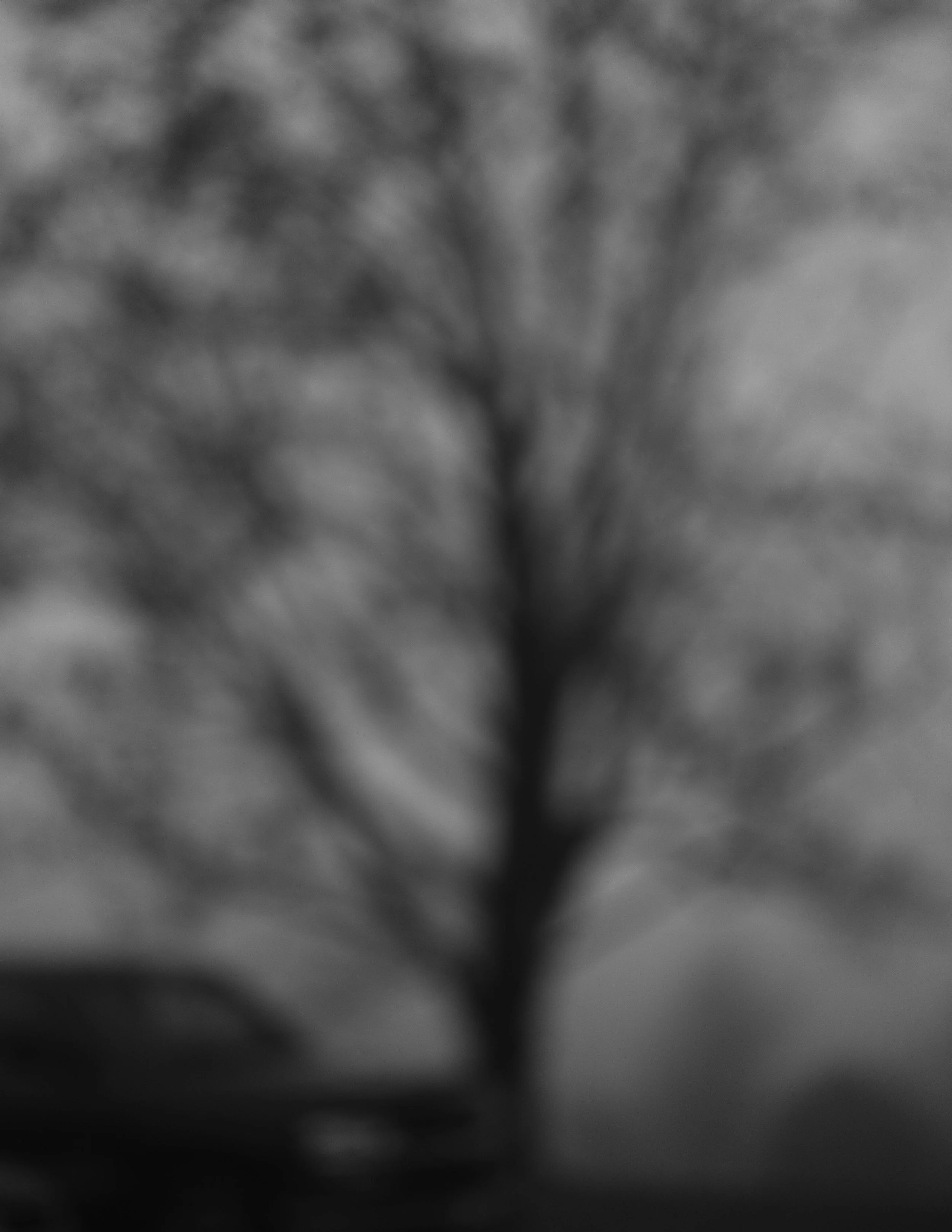 AStevenson_22.3-4.jpg