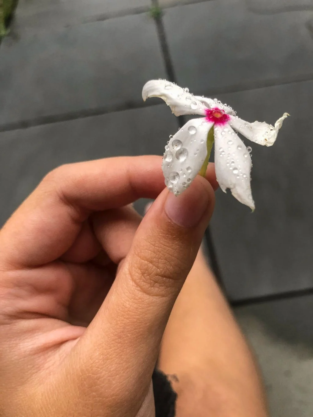 Screenshot 2025-07-16 at 2.34.36 PM.jpg