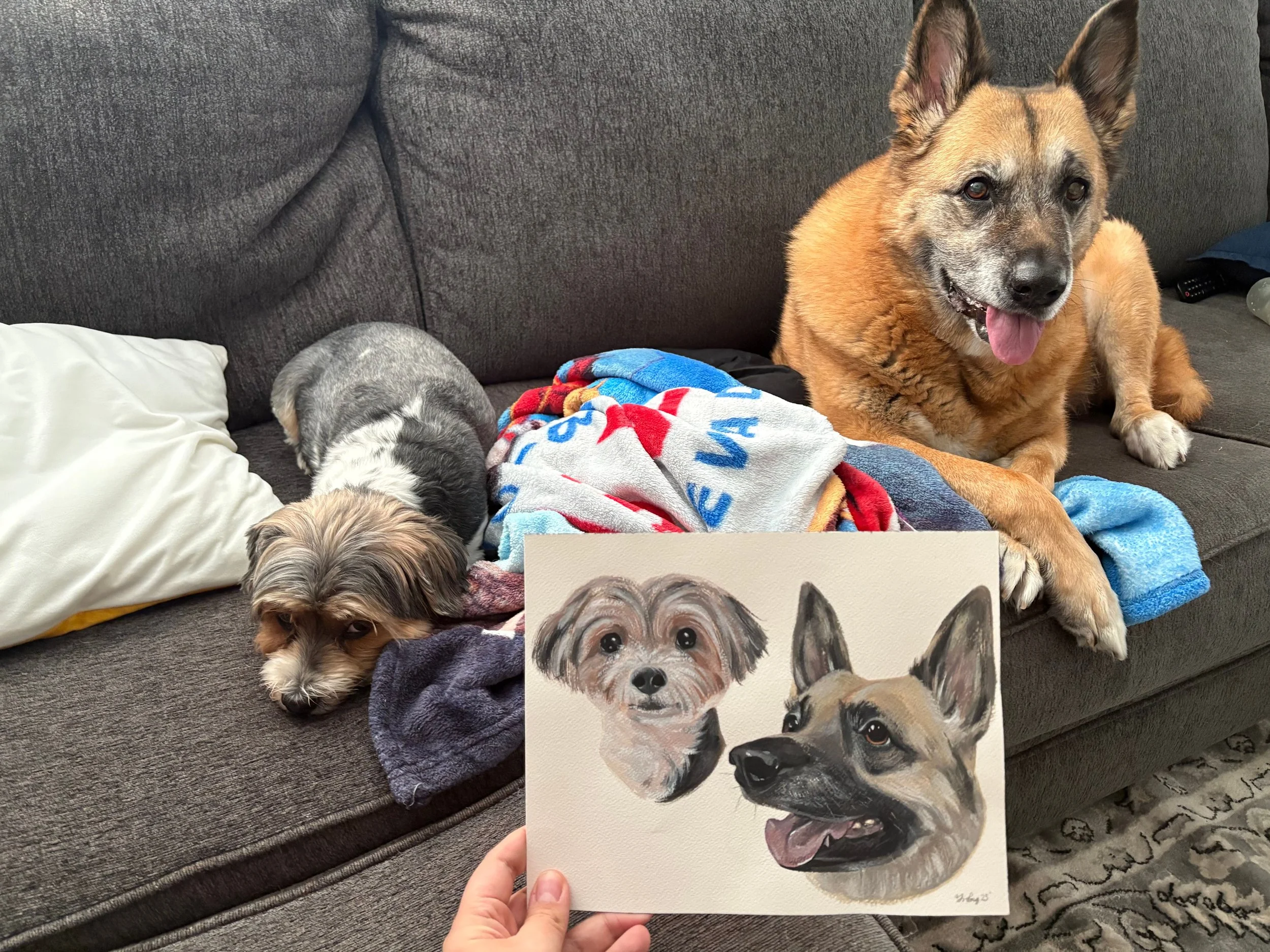 Meet Layla and Zoey: A Dog Mom Q&A & Portrait Feature
