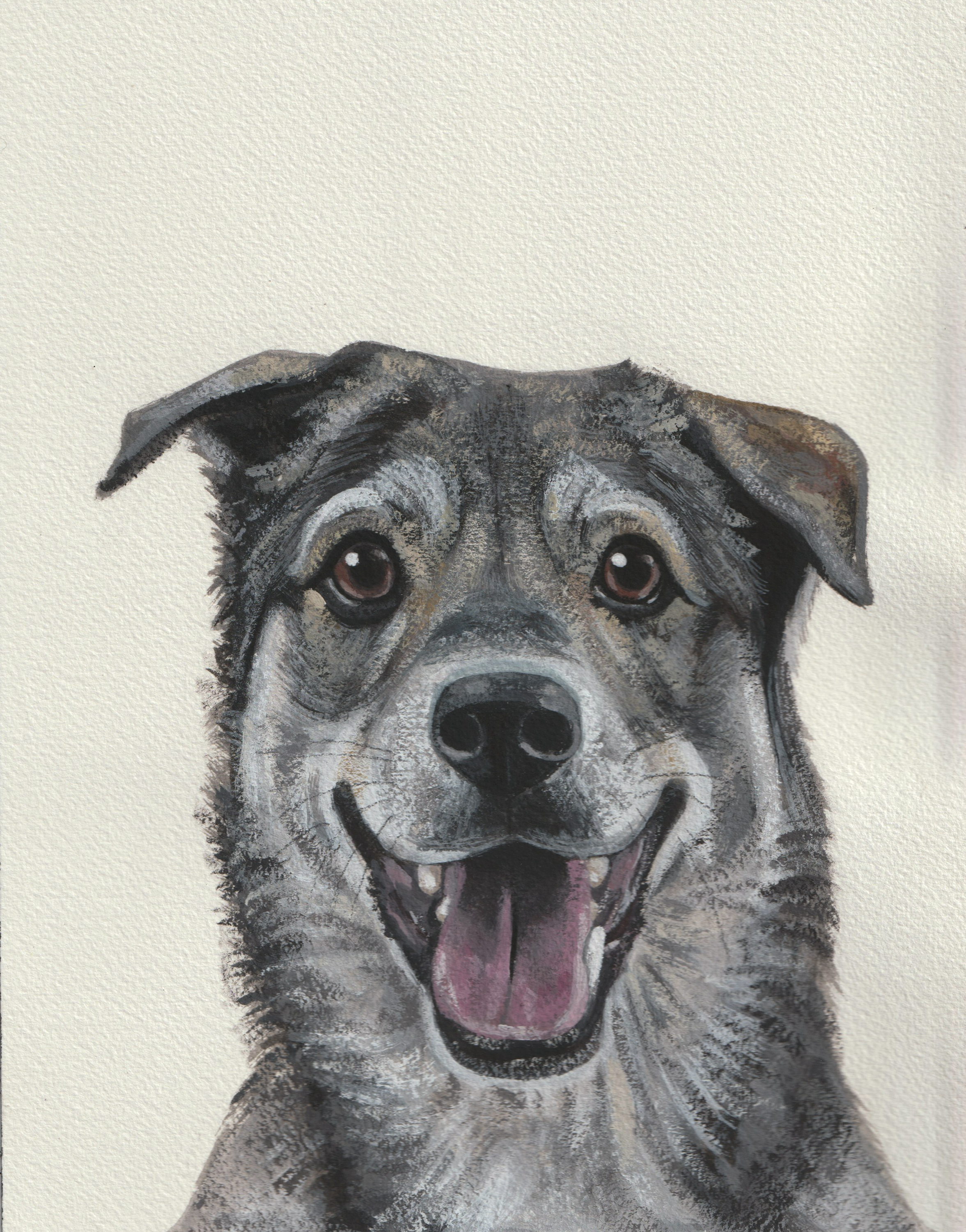 Gouache Painting-dog-gray