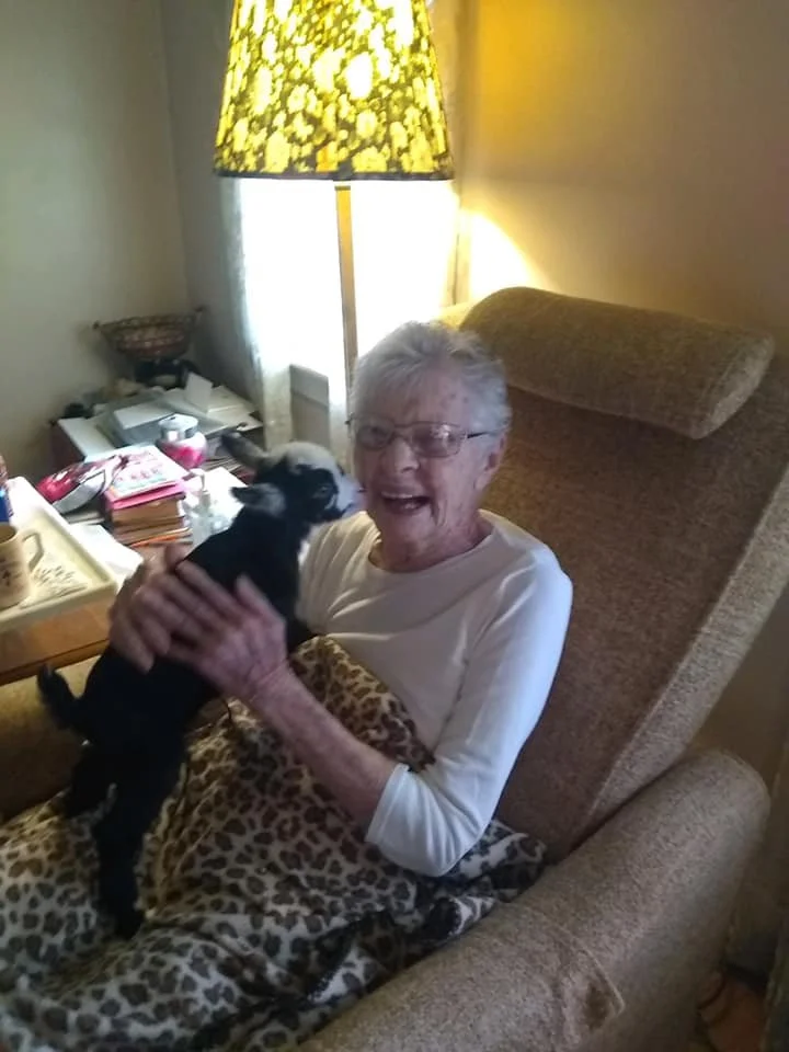 An elderly woman sitting in an armchair, smiling and holding a small black and white puppy in her arms, with a leopard-print blanket over her lap. There is a tall yellow patterned lamp behind her and a cluttered side table with books and papers nearby.