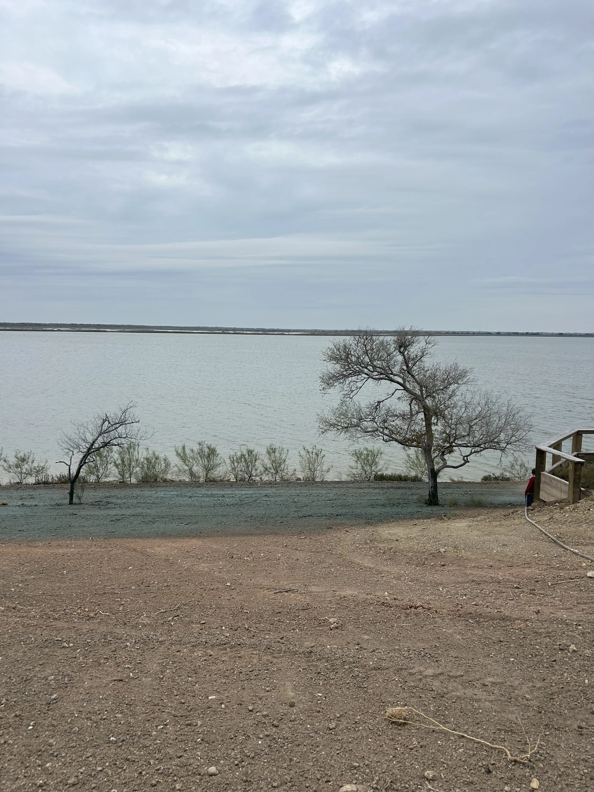 A lakeside scene with a dirt foreground, sparse trees, and calm water under a cloudy sky.