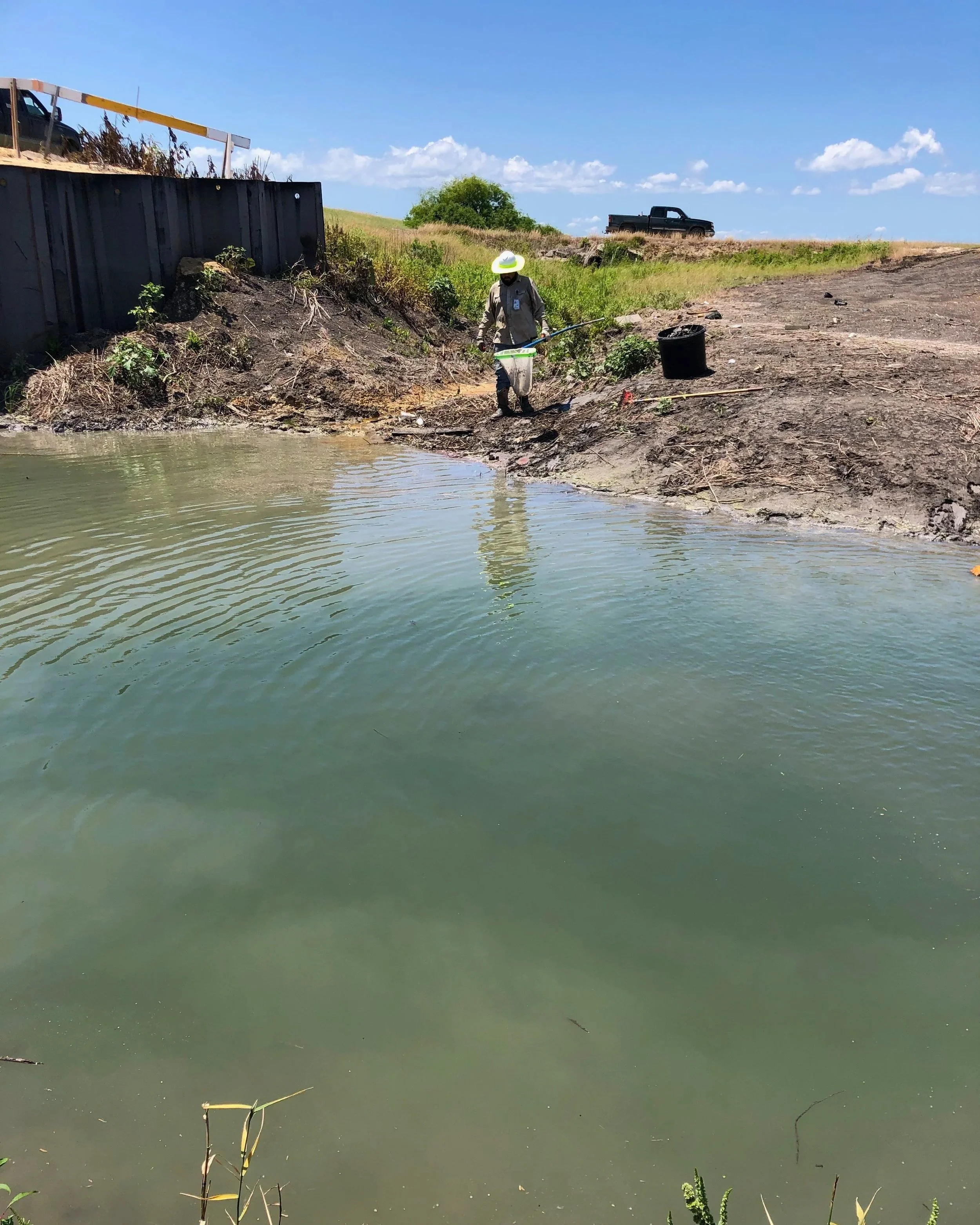 Person standing at the edge of a muddy shoreline, collecting water sample from a body of water with a tool, while a truck is parked on a grassy hill in the background under a sunny sky.
