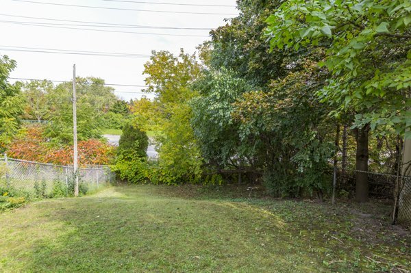 backyard.jpg