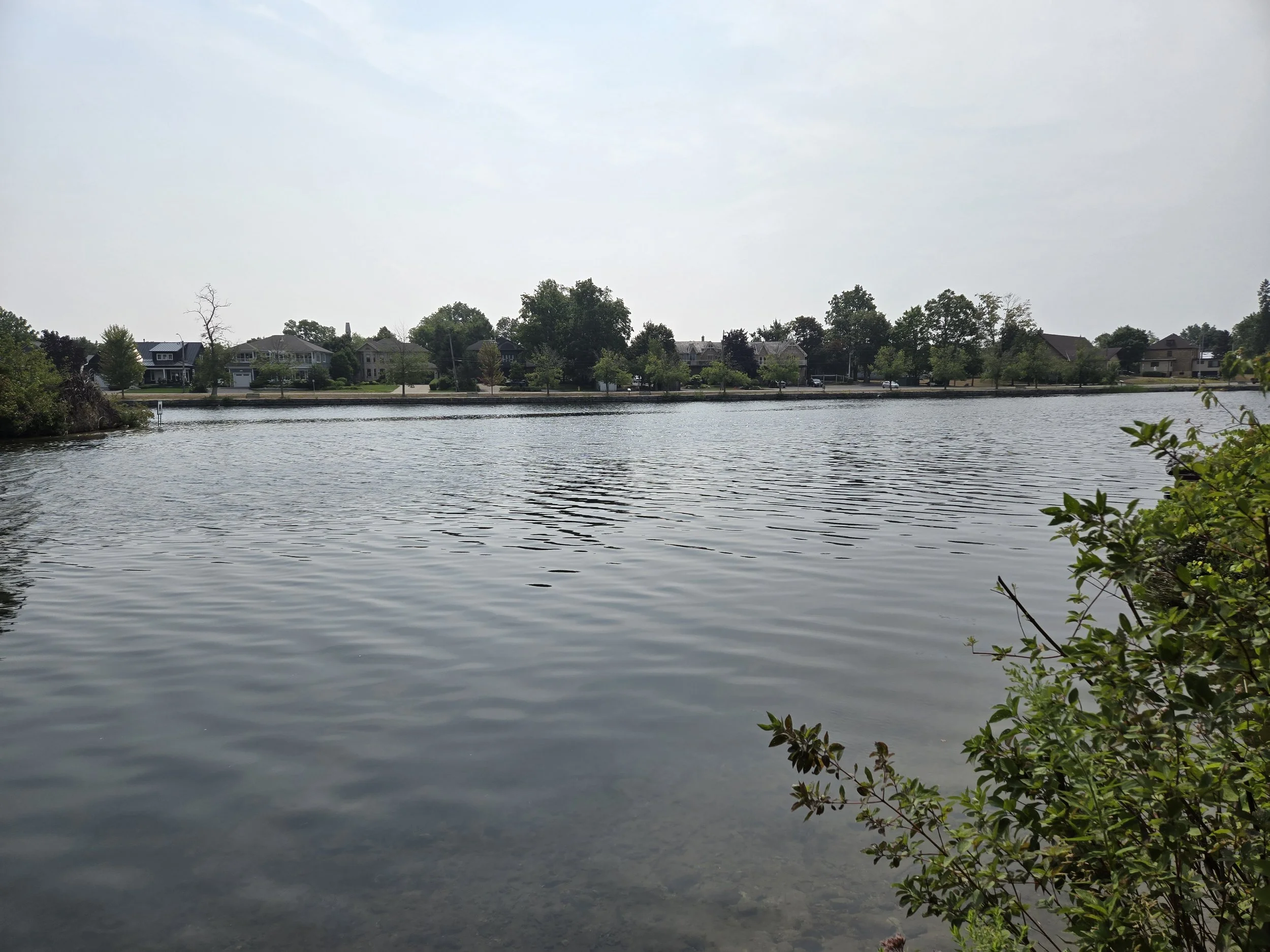 20250808_112319.jpg