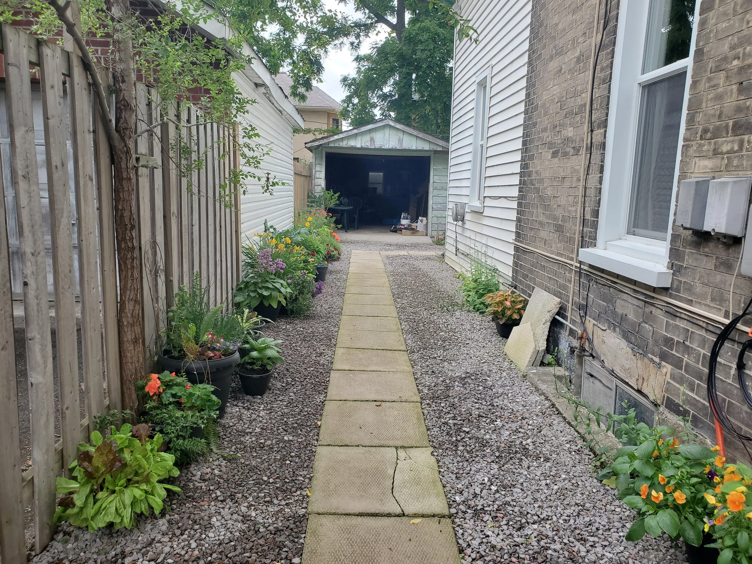 20230627_121808.jpg