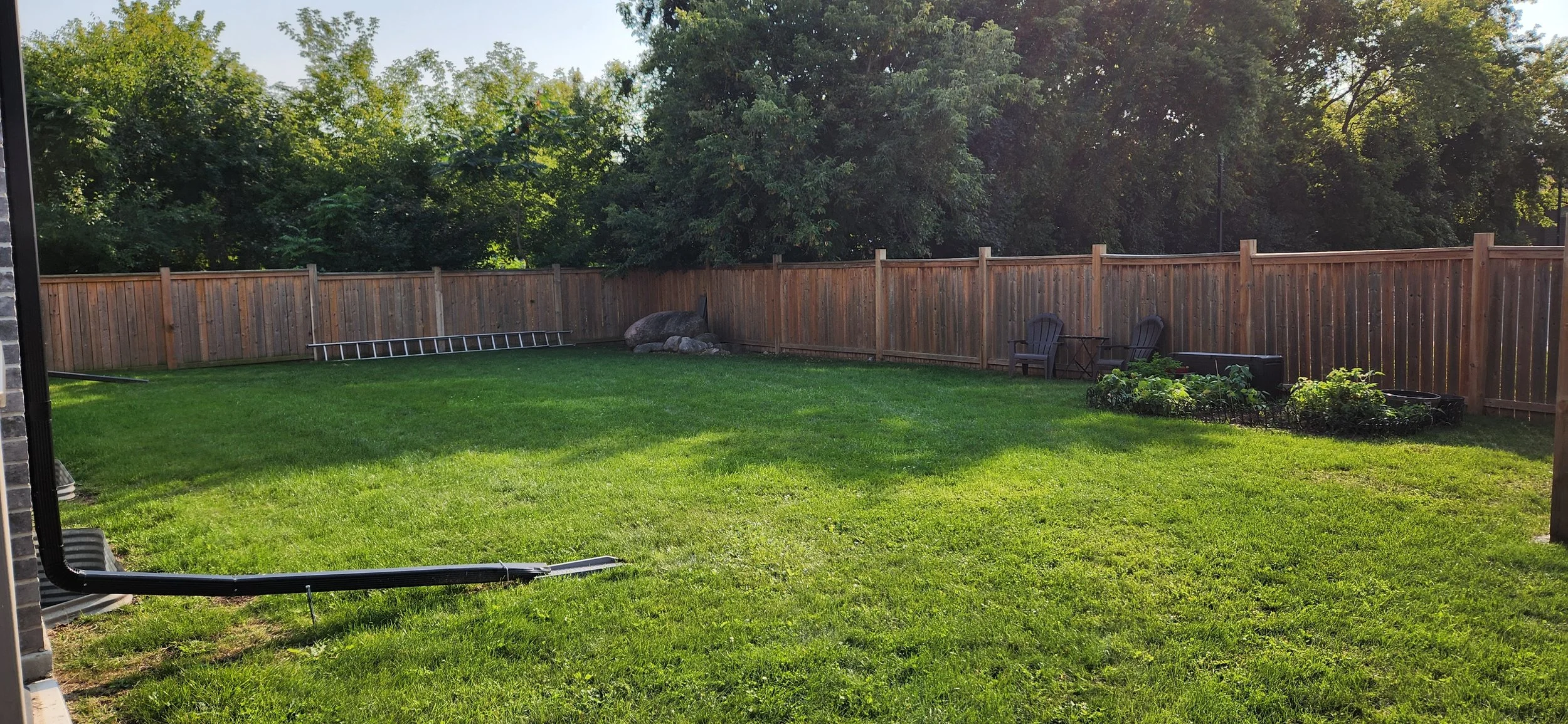 20240904_170814.jpg