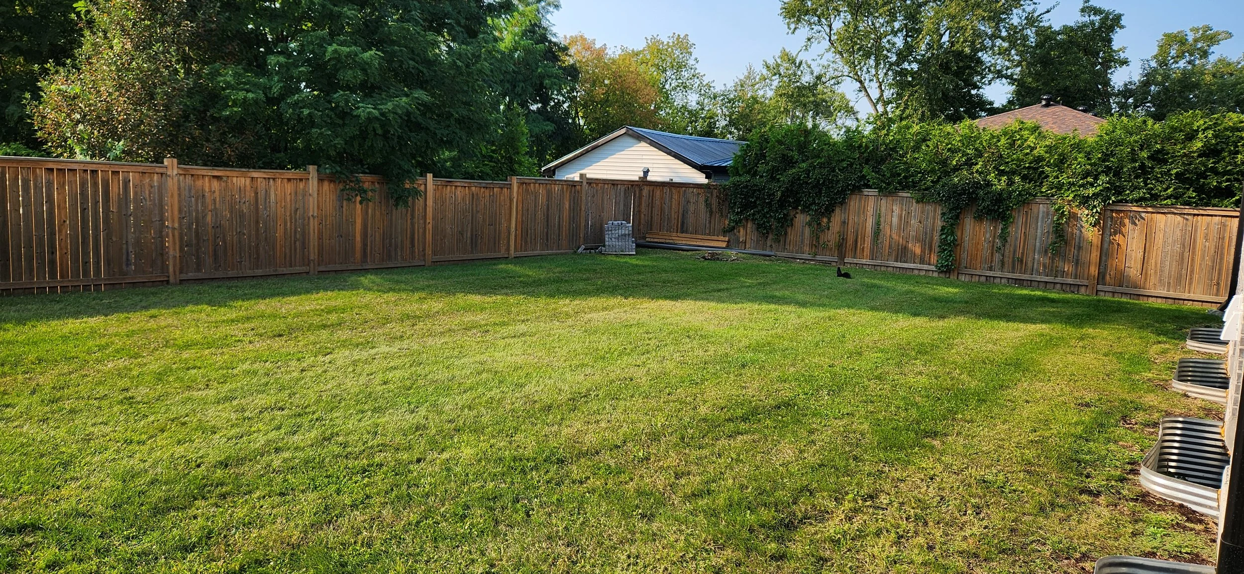 20240904_170811.jpg