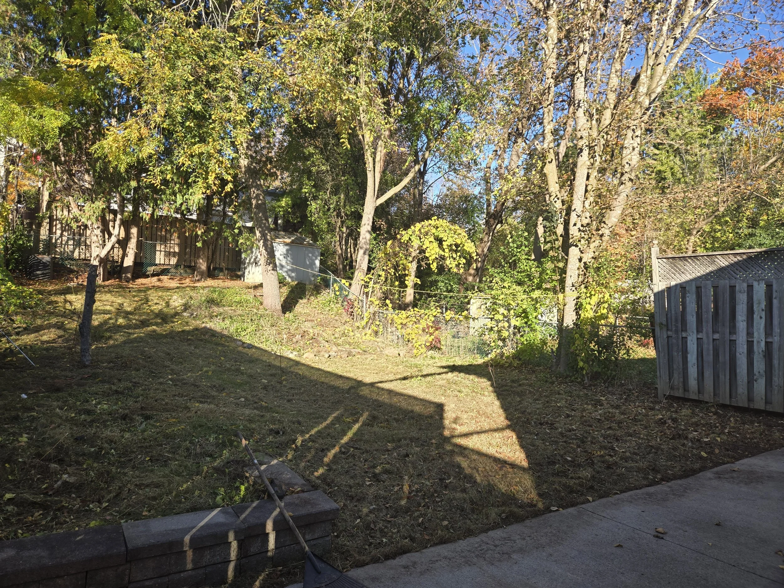 20261020_092334.jpg