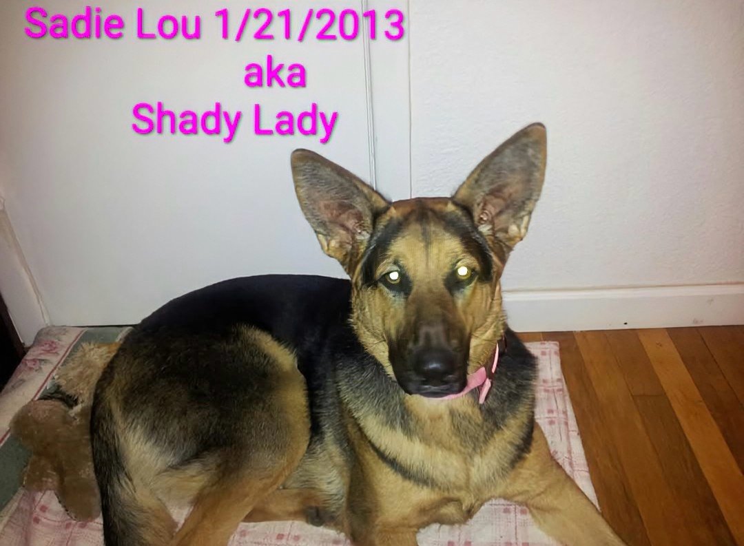 Sadie Lou