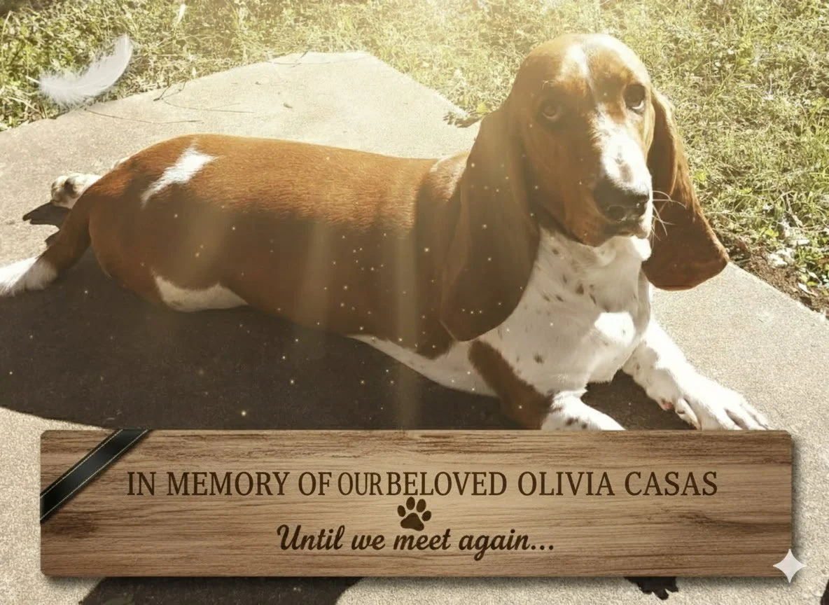 Olivia