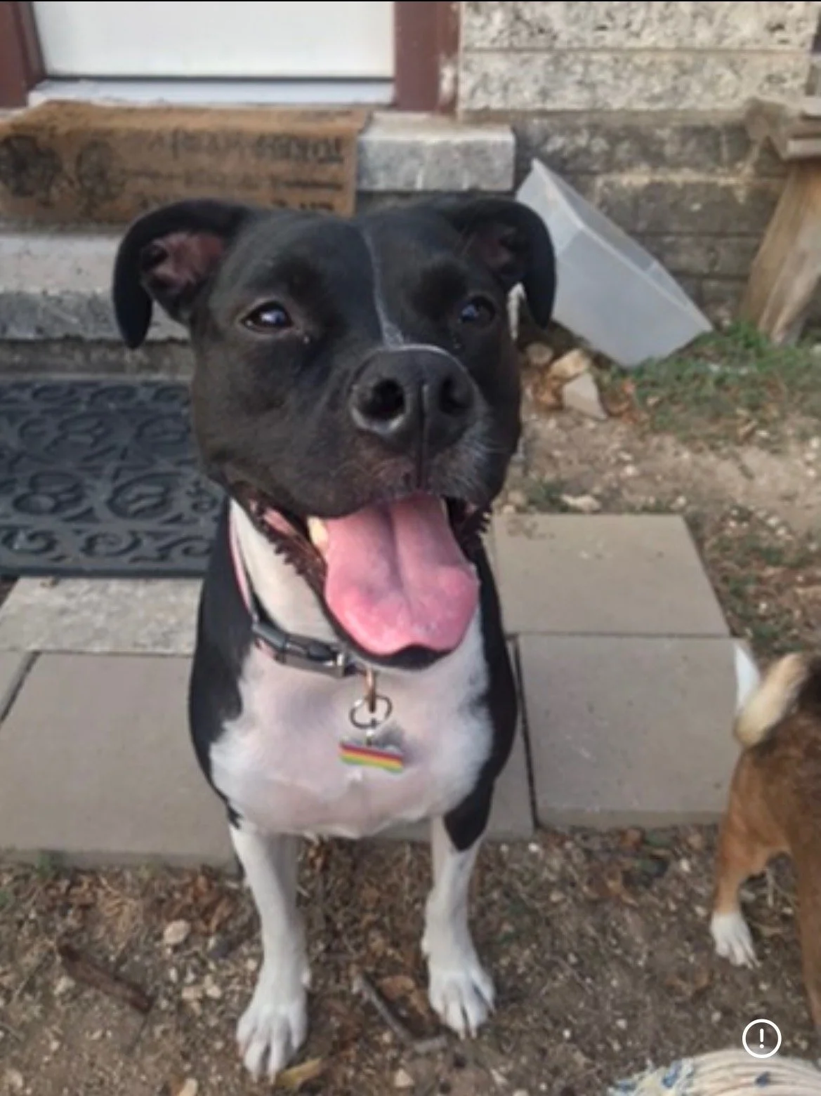 RenderedImage (1).jpeg