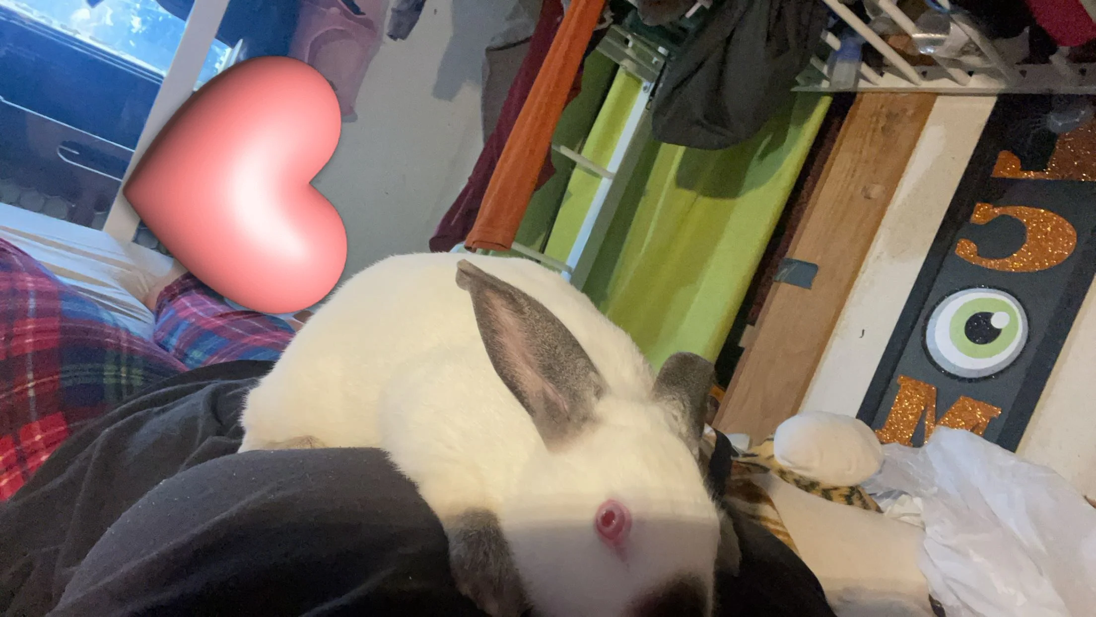 Pablo