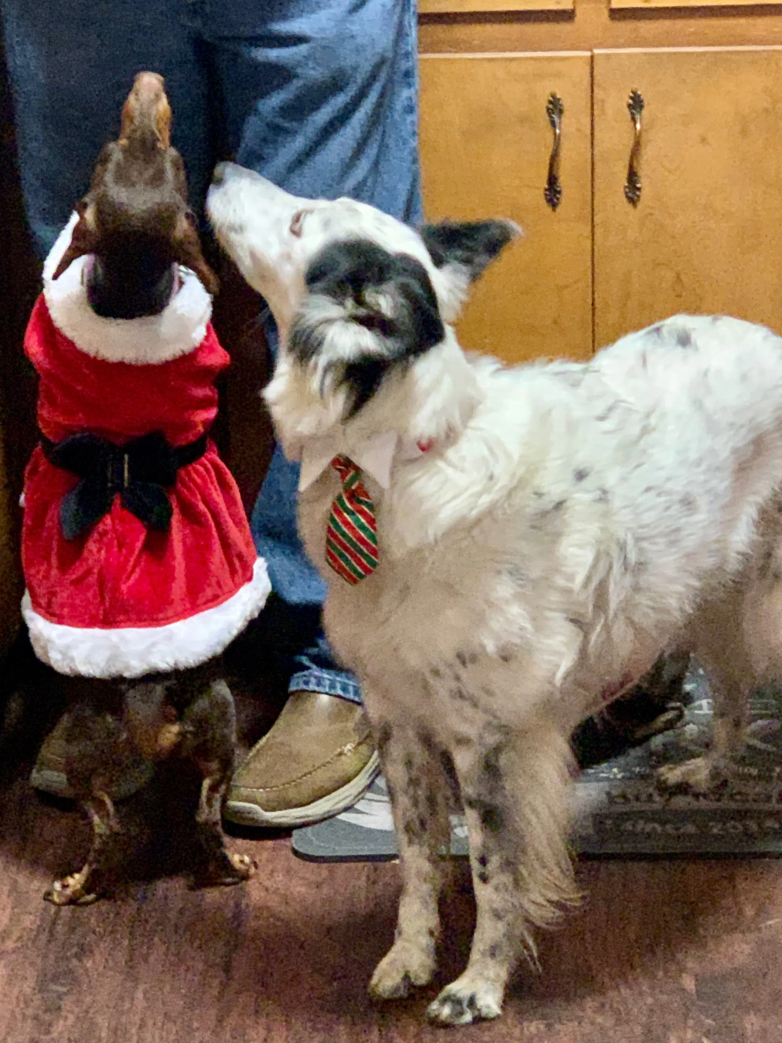 FullSizeRender (1).jpeg