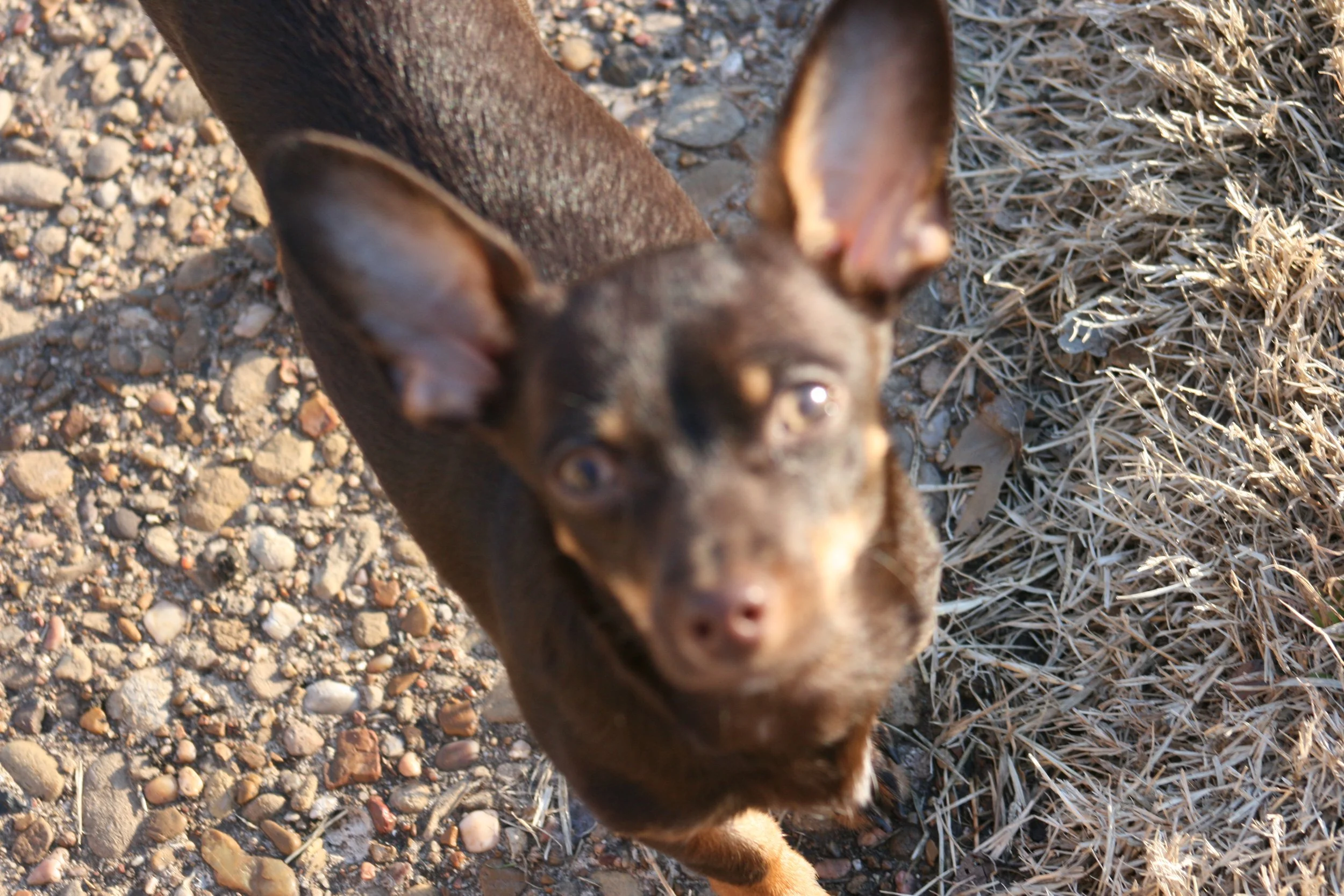 darci0211 025.jpg