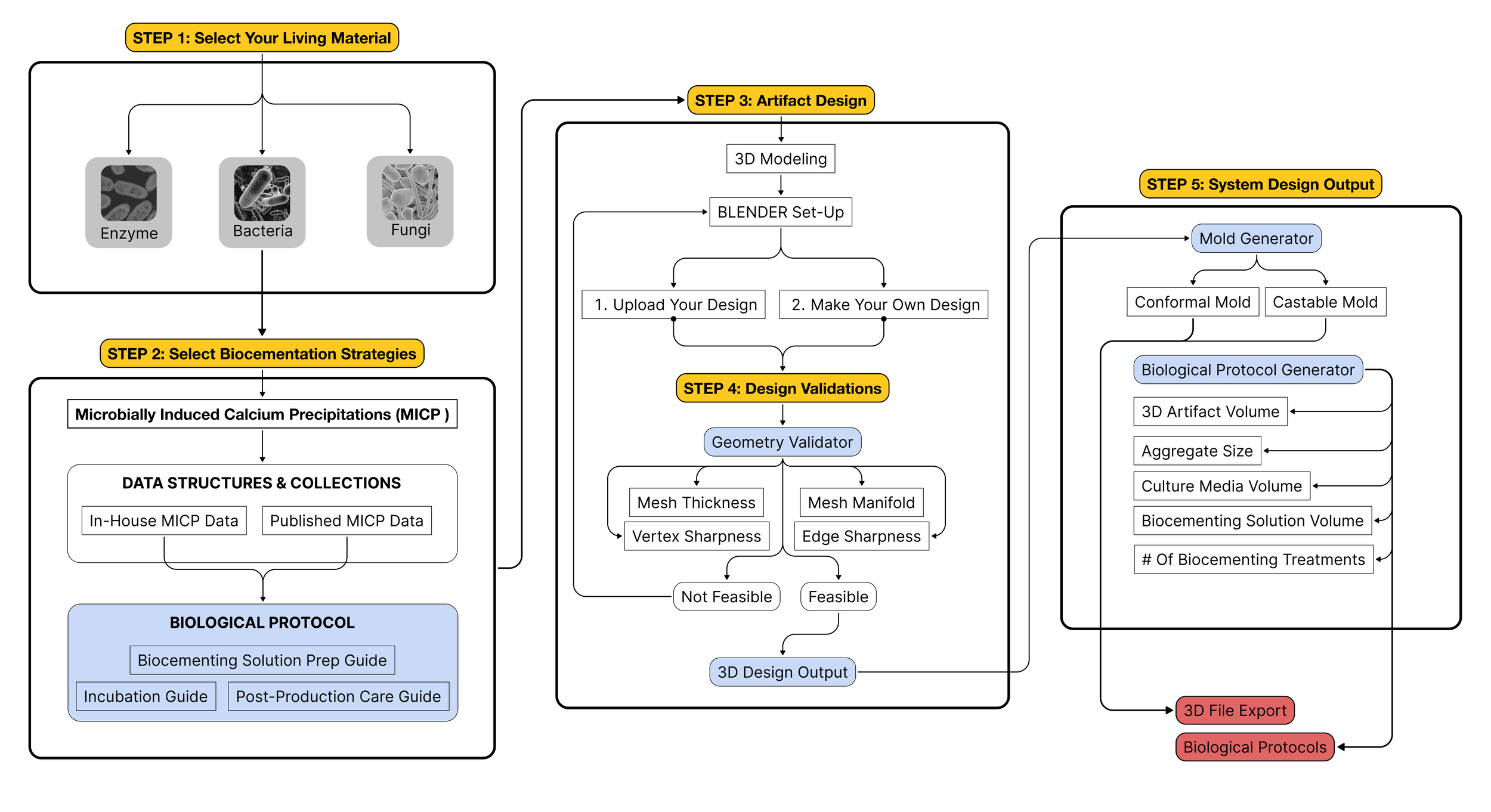 Bio-Atelier Software Workflow