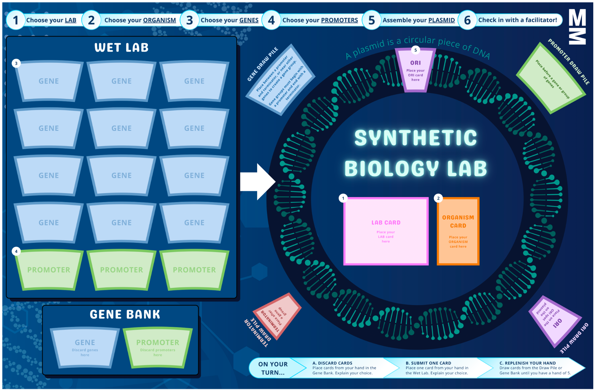 The Genetic Engineering Game