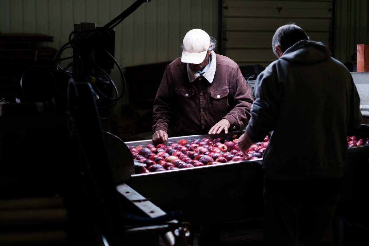 Muse - Burnham Orchard-46.jpg