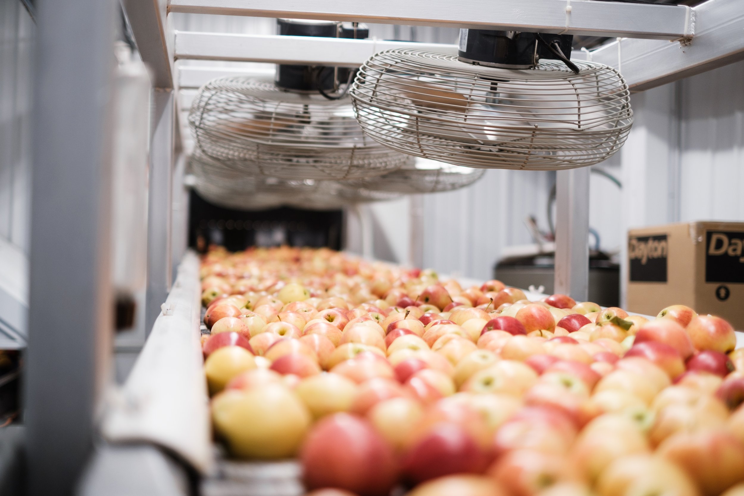 Muse - Dawsons Orchard-31.jpg
