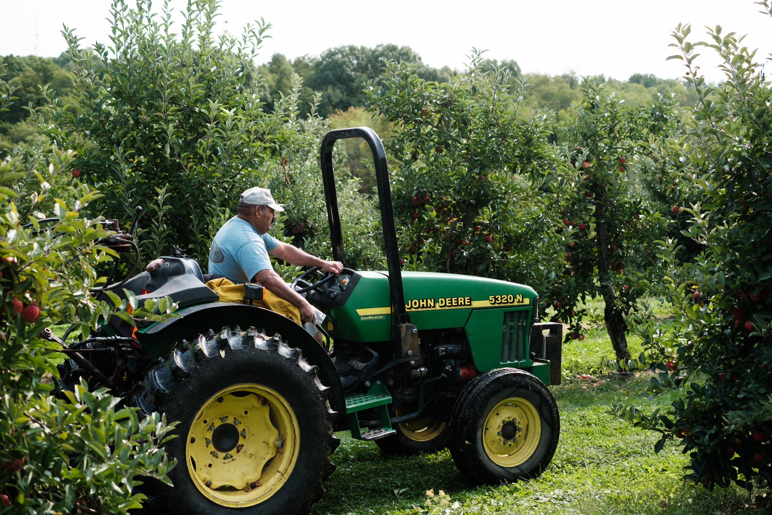 Muse - Dawsons Orchard-79.jpg