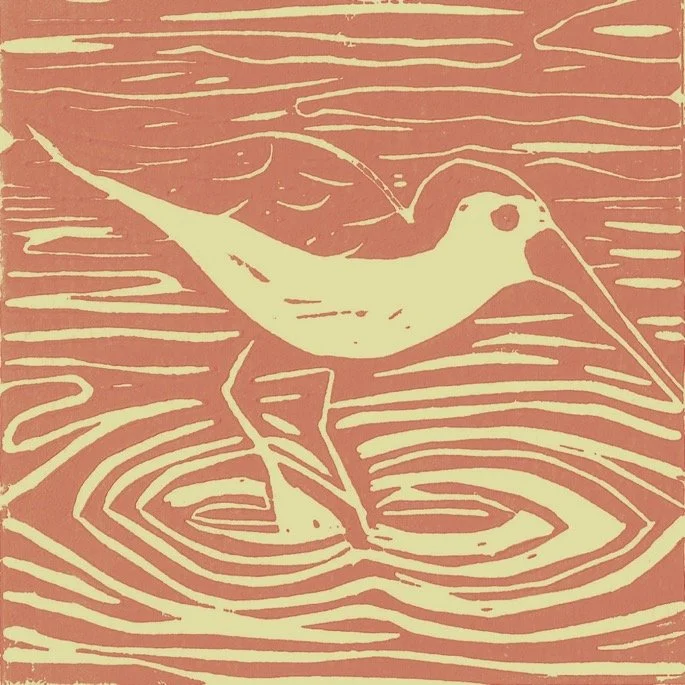 Sandpiper LC4in red yellow.jpg