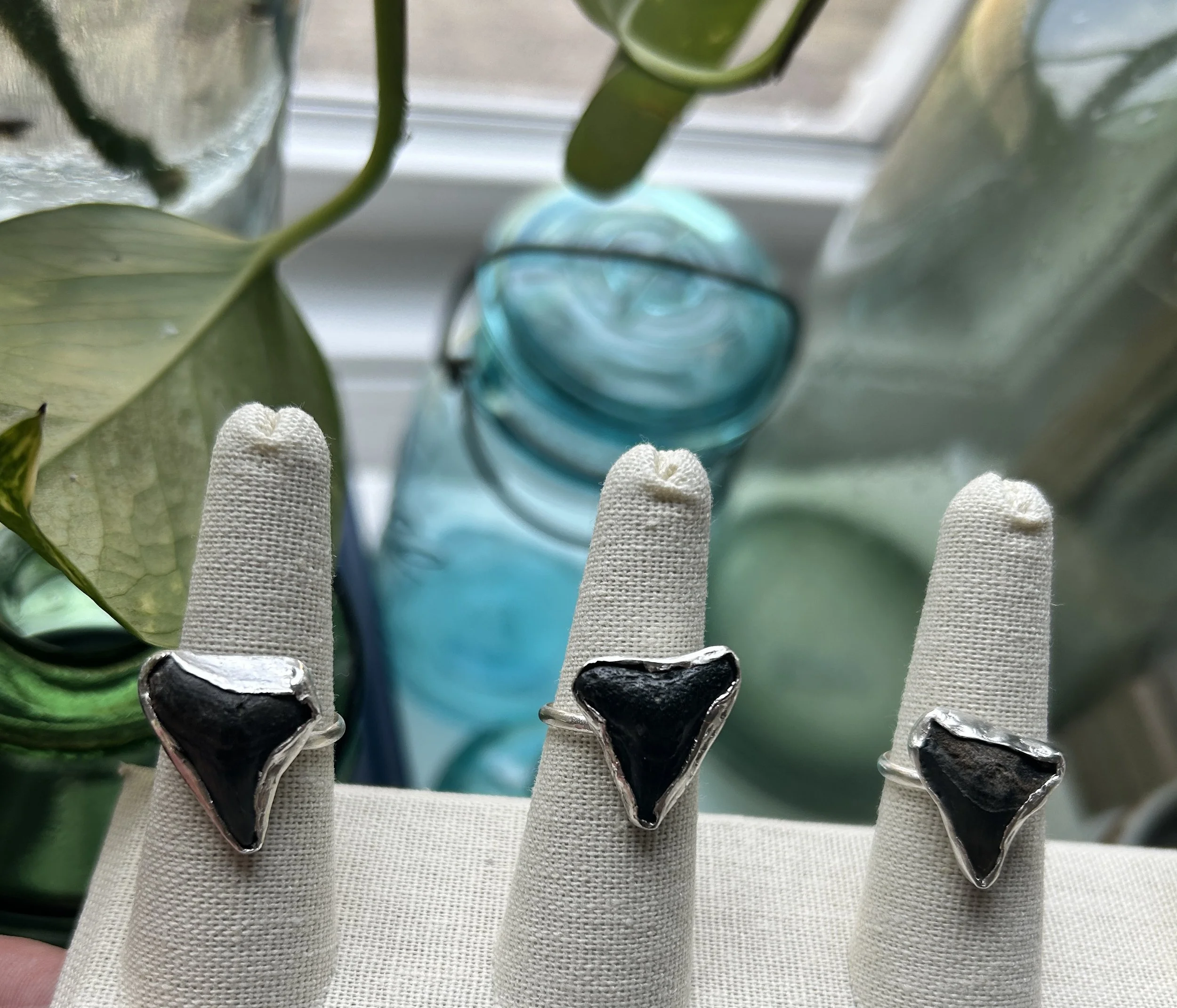 Handmade Sterling Silver Fossilised Shark Tooth Ring