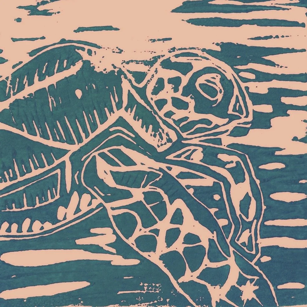 Turtle LC 4in blue green.jpg