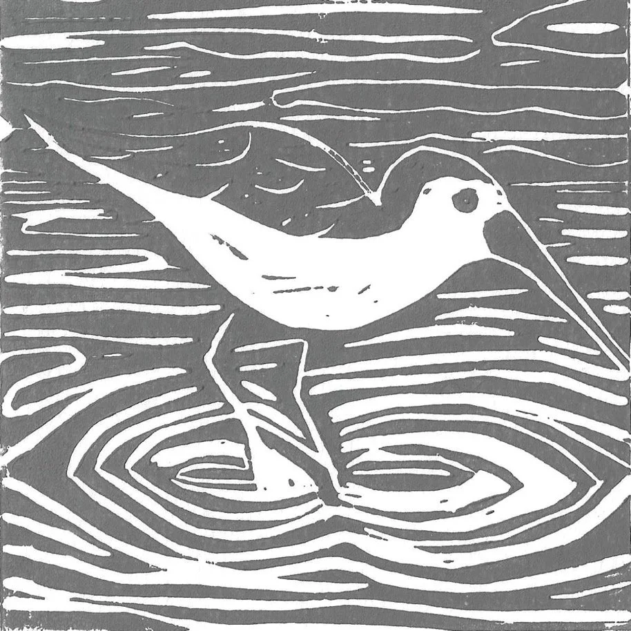 Sandpiper LC4in.jpg