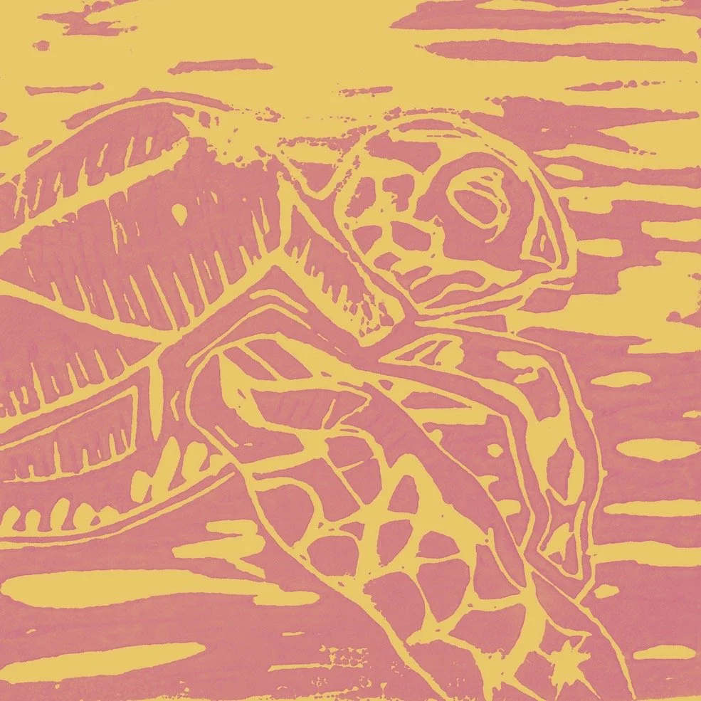 Turtle LC 4in pinkyellow.jpg