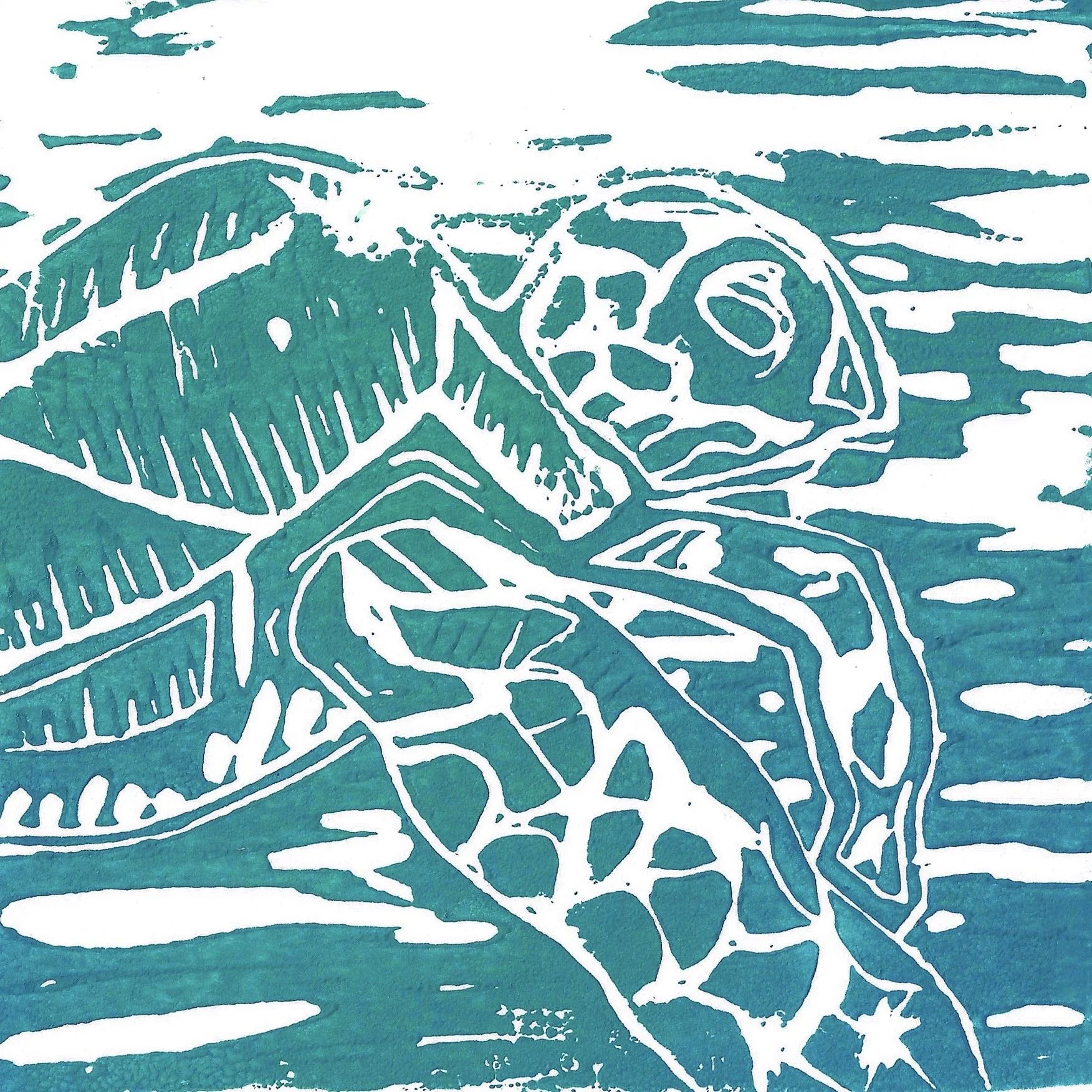 Turtle LC 4in.jpg