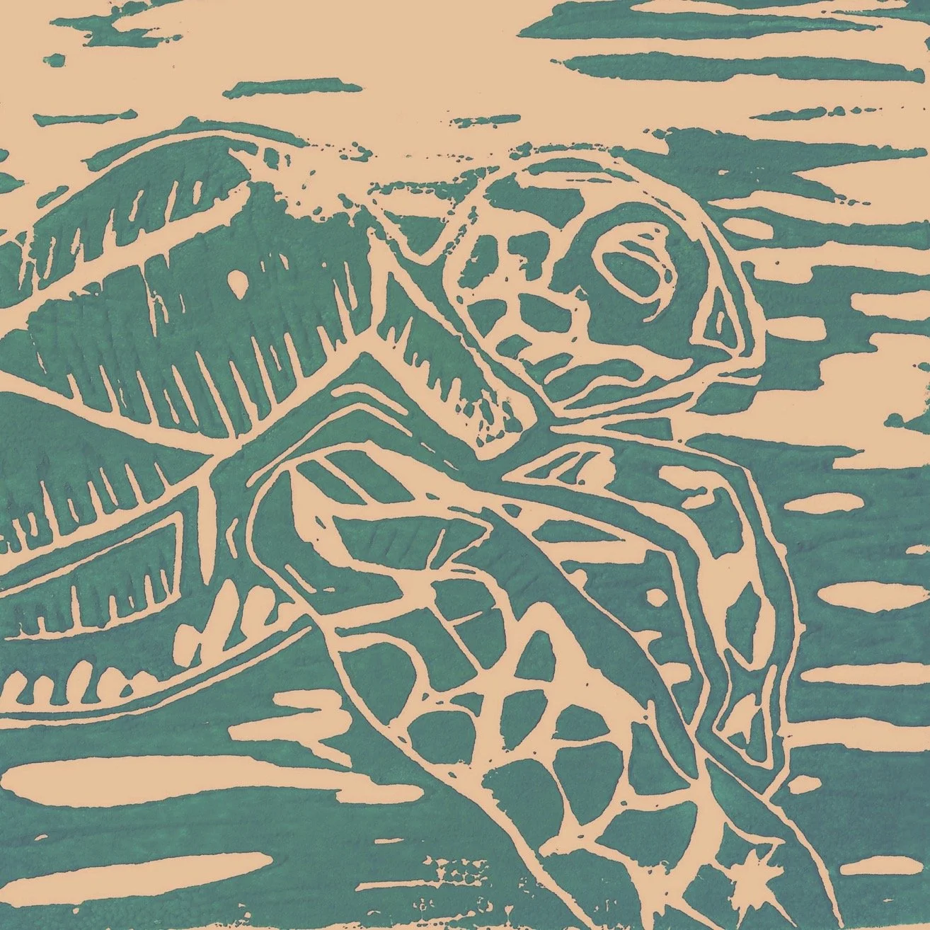 Turtle LC 4in ombre.jpg