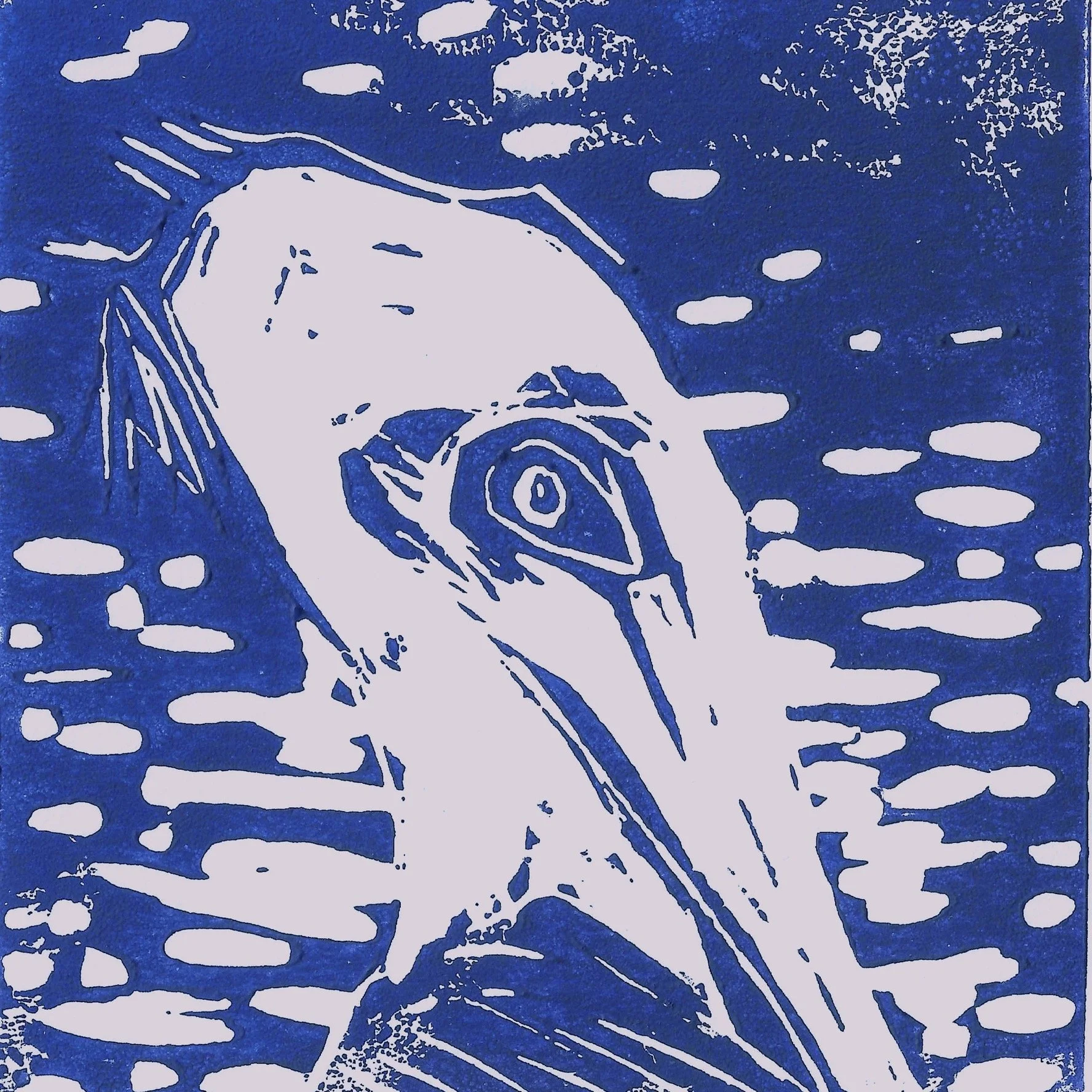 Pelican LC 4in.jpg