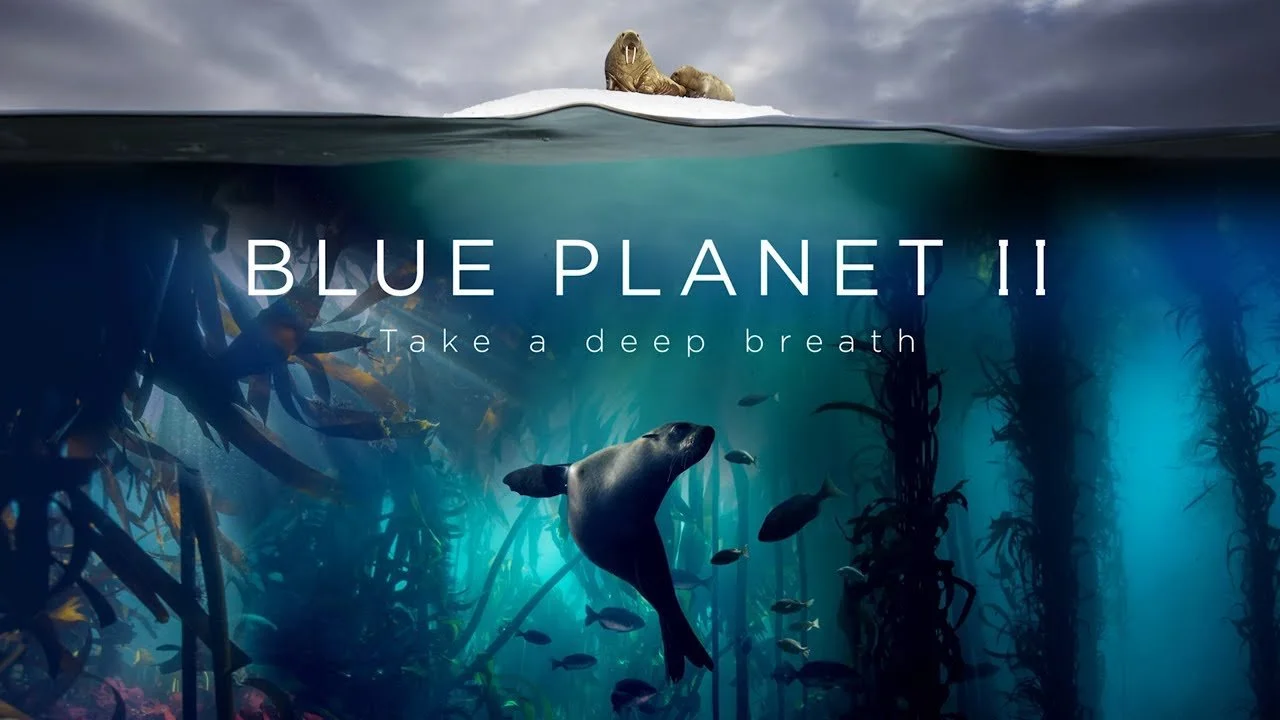 BluePlanet2.jpg