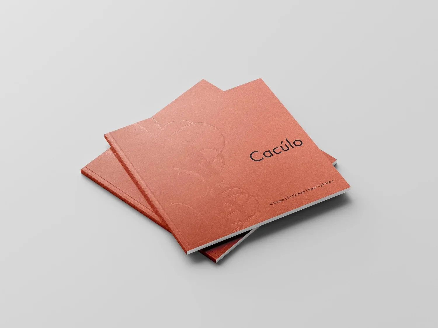 Cacúlo: In Context £12 (excludes postage)