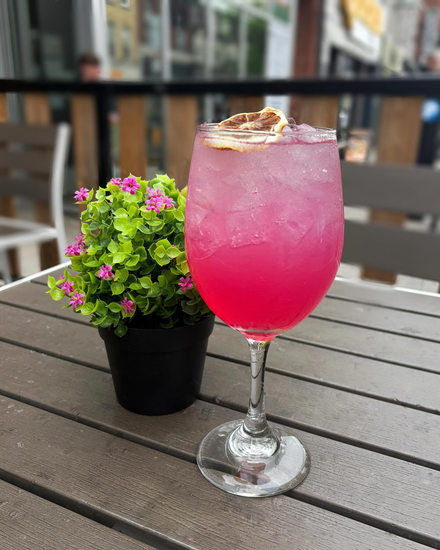 Our feature drink this Thursday is bringing the flavour 🍋🐉 Try the Dragonfruit Lemon Spritz for $8 on Thursdays &mdash; part of our margarita, mojito &amp; spritz trio.

Make your reservation through OpenTable, DM, or call (613) 549-0505 

#ygk #yg
