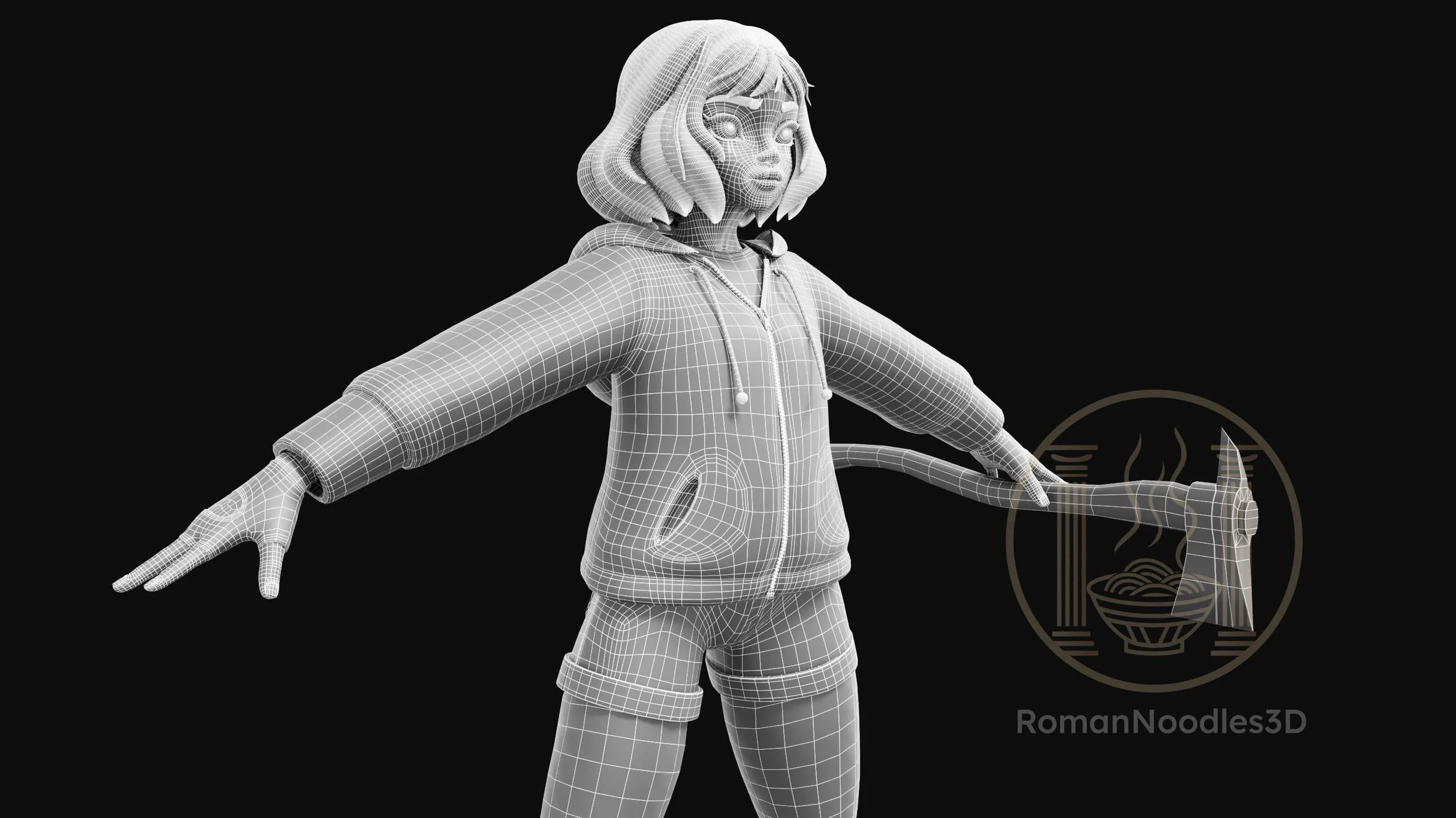 Shannon Model Wireframes