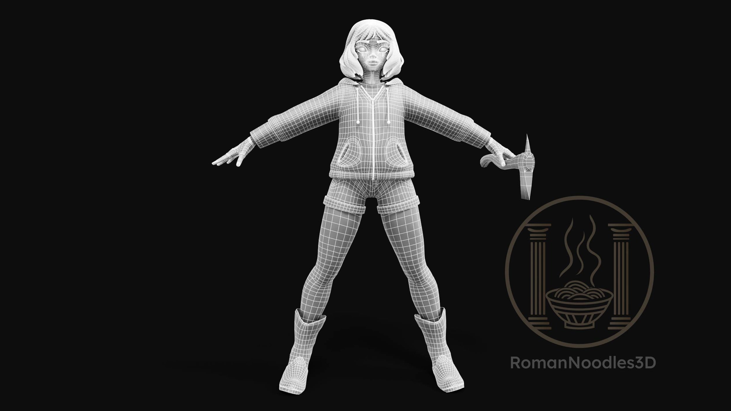 Shannon Model Wireframes