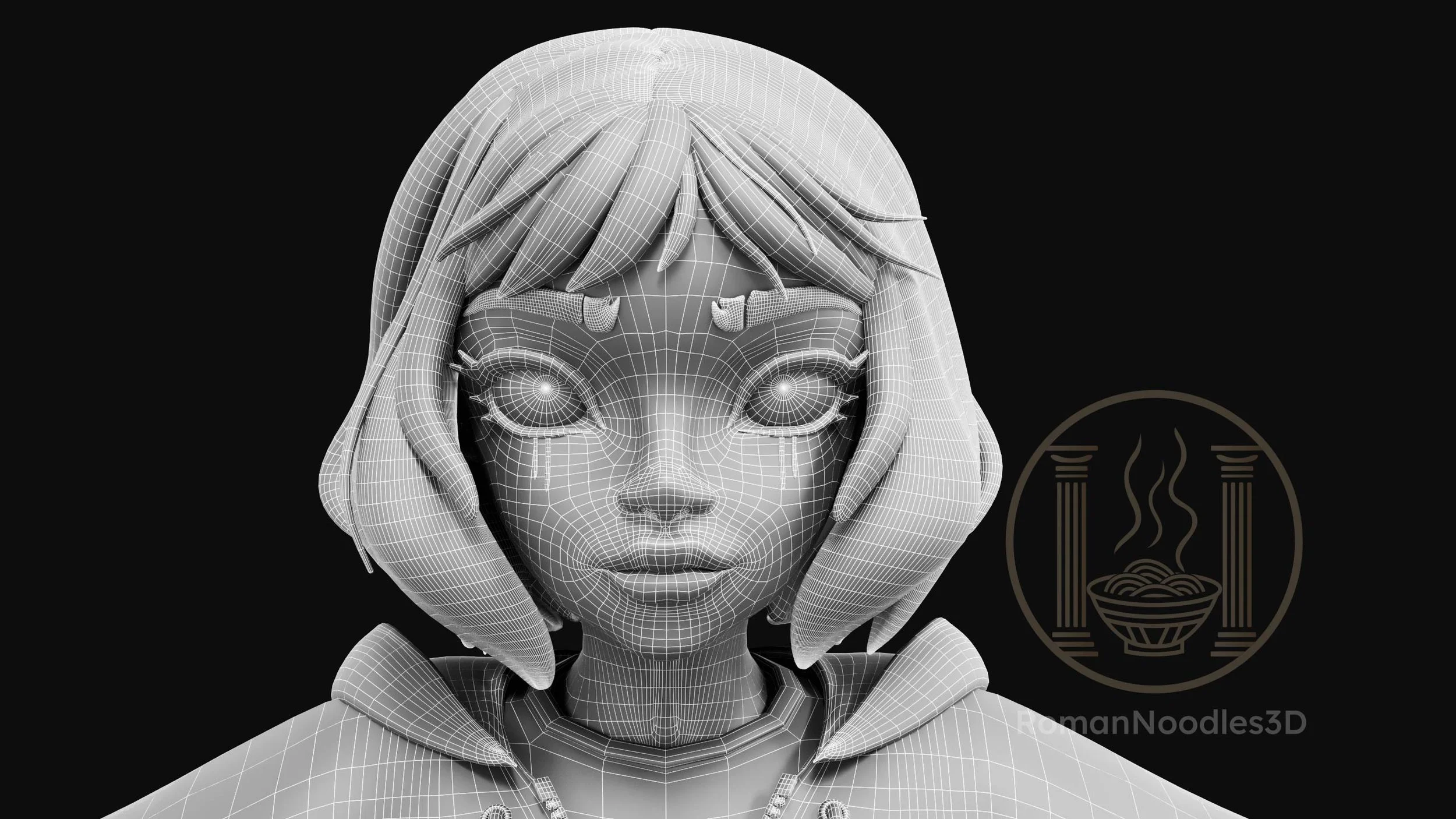 Shannon Model Wireframes