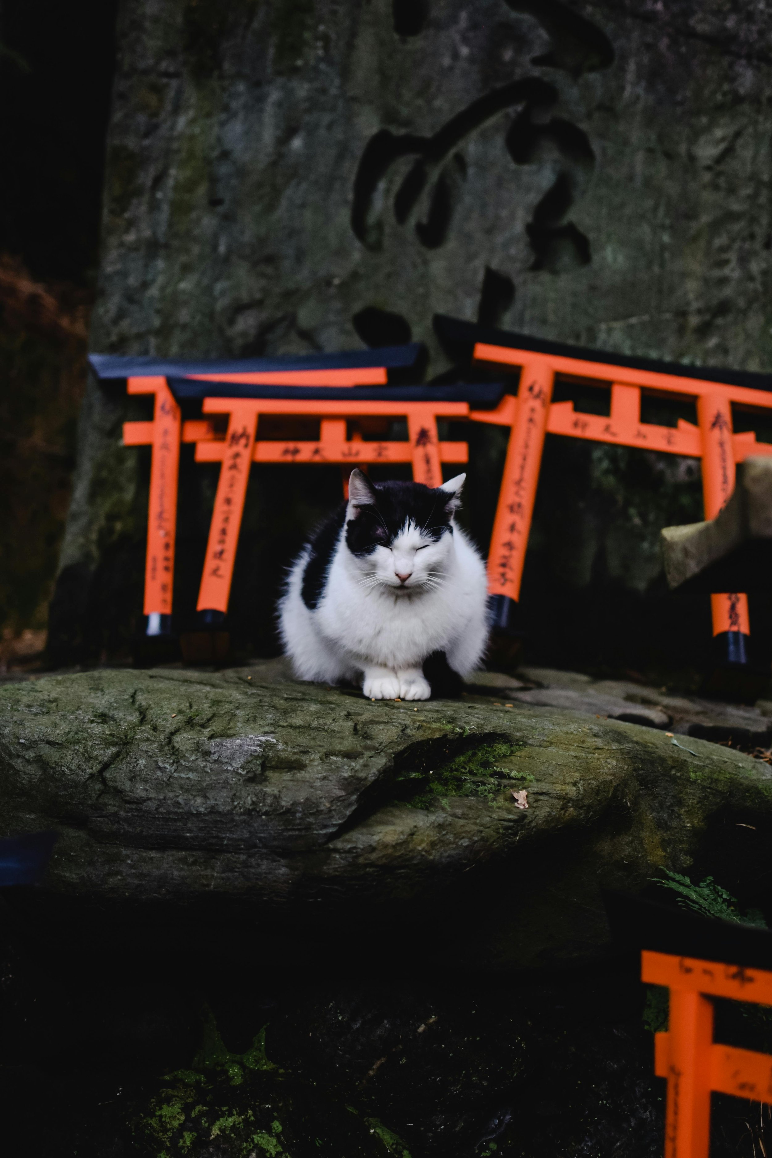 Red torii gates in Japan: beyond Kyoto