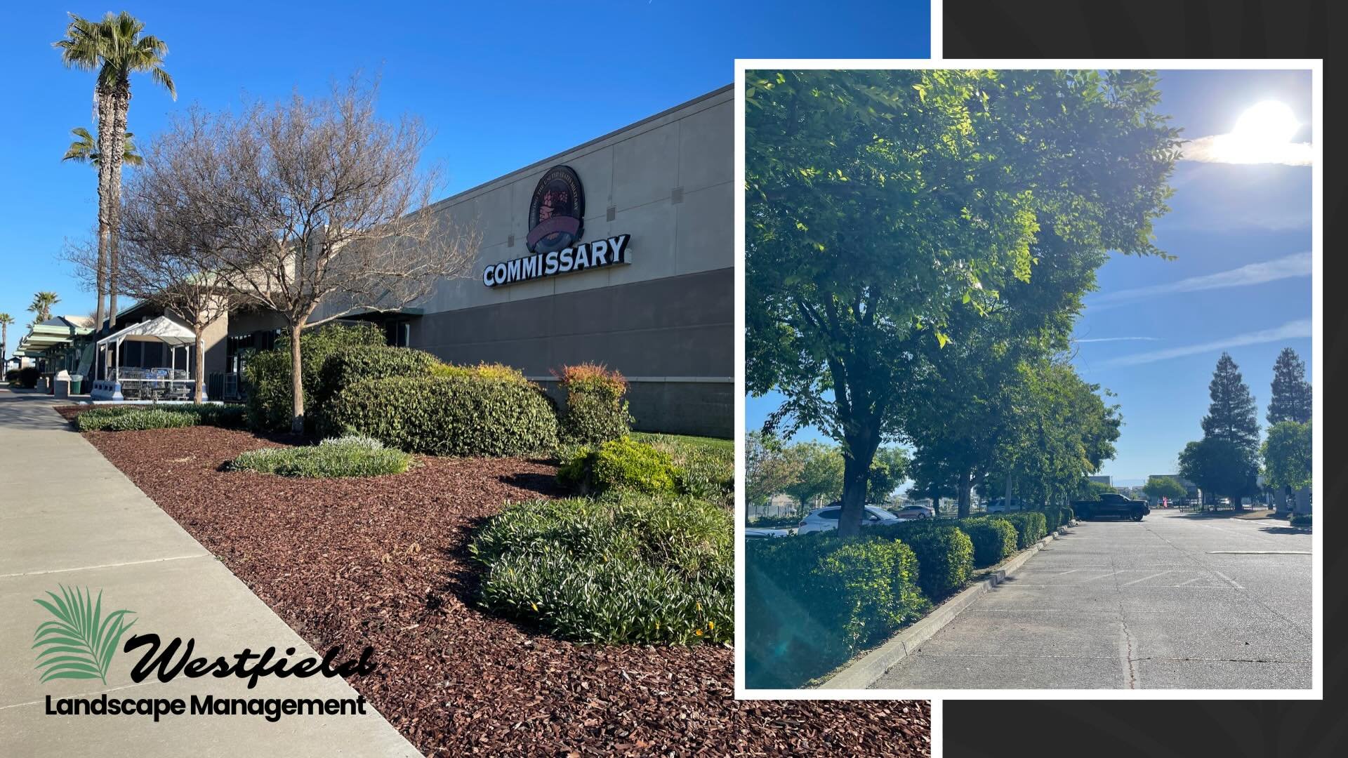 We take pride in managing your landscape like it&rsquo;s our own. A beautiful landscape is a business first impression. Trust us to make your landscape, an attractive asset for your business. Visit teamwestfield.com for more information.