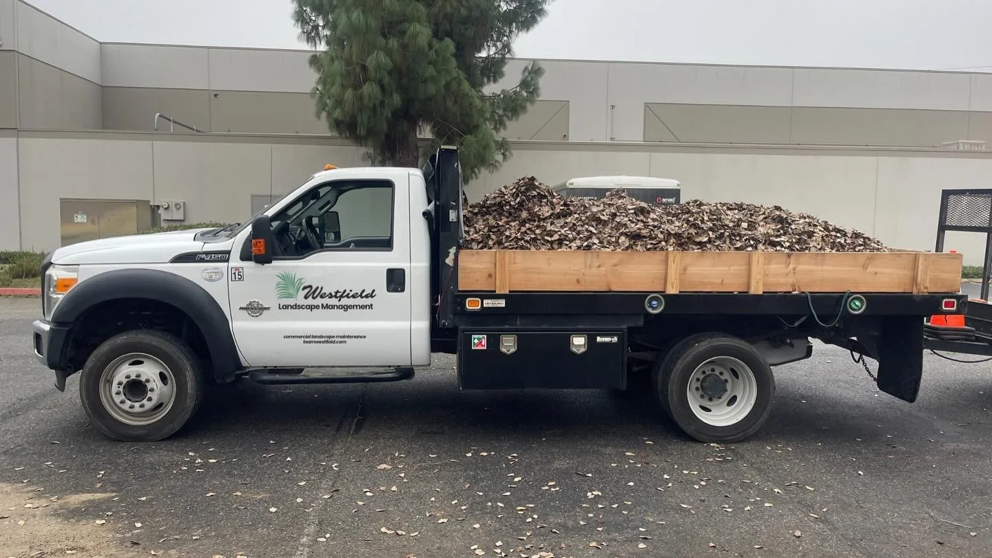 Leaves Leaves Leaves 🍂 Fall clean-up is still on going! Reach out for proper commercial landscape management services and consulting.