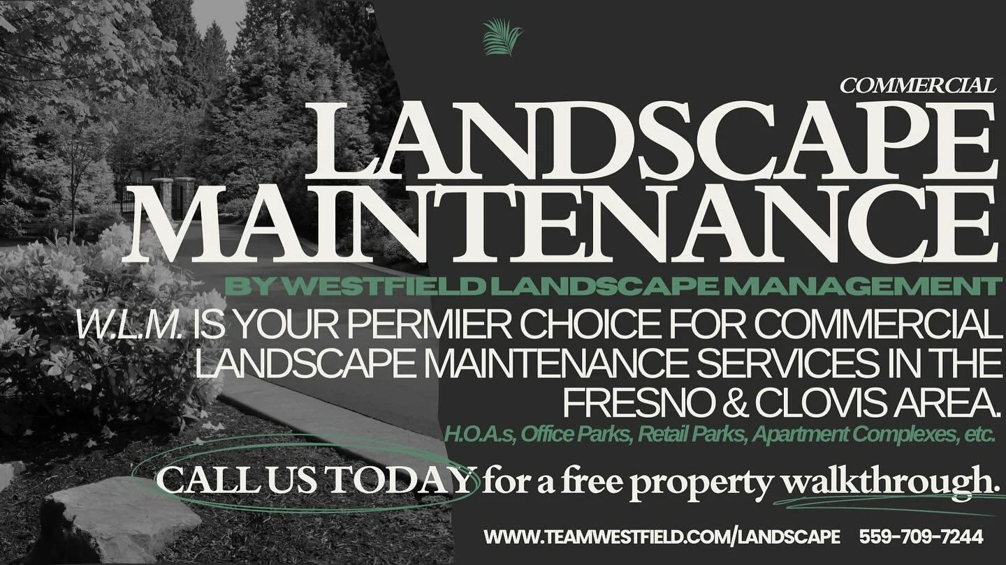Are you looking for professional and reliable landscape maintenance? We are a premier commercial landscape maintenance company serving the greater Fresno and Clovis area. Let&rsquo;s talk about a free property walkthrough and we&rsquo;ll show you why