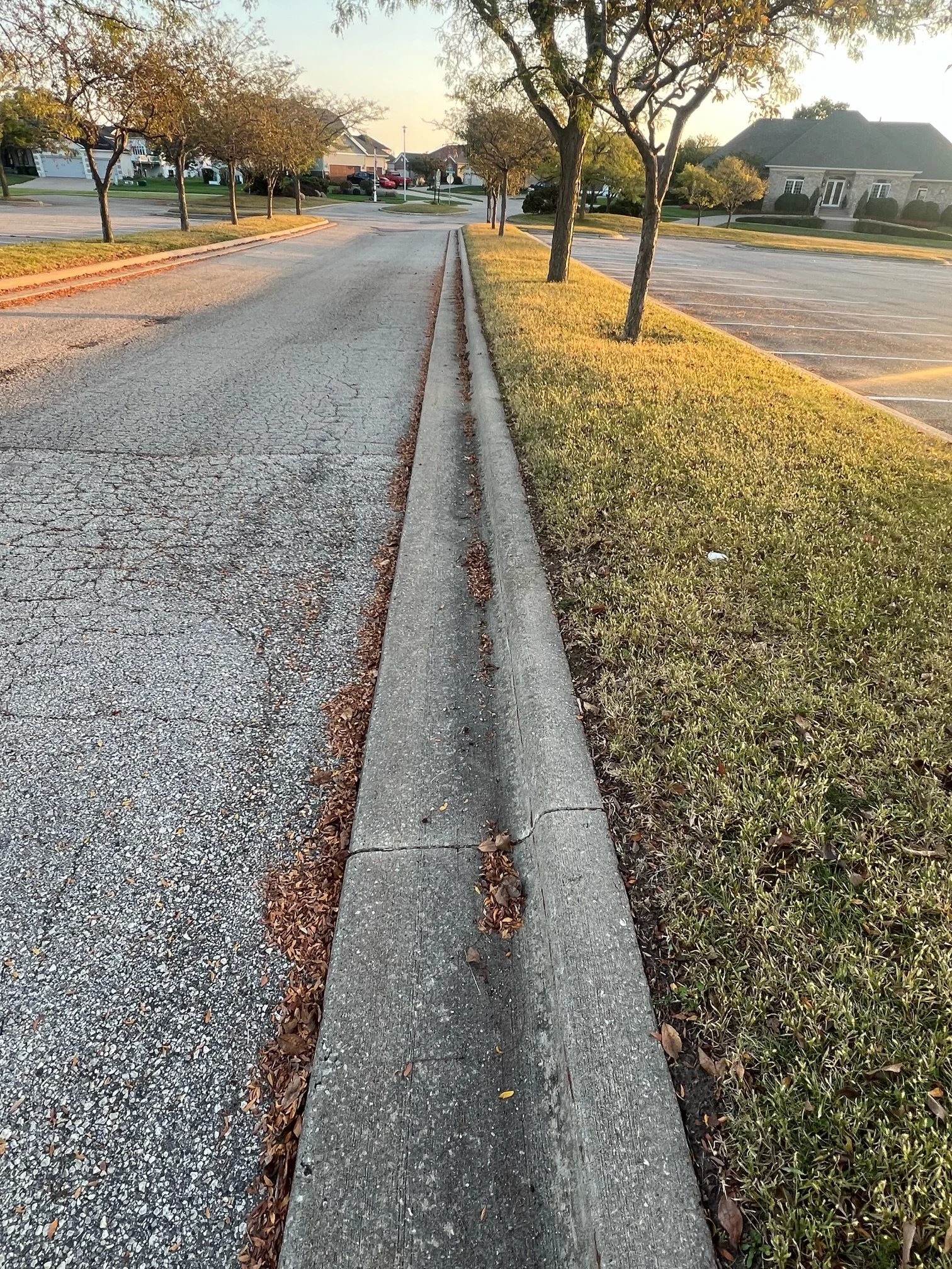 A suburban street scene during late afternoon or early evening with trees lining the sidewalk, a parking lot on the right, and residential houses in the distance. The street has a cracked asphalt surface, and the curb is visible with some fallen leav