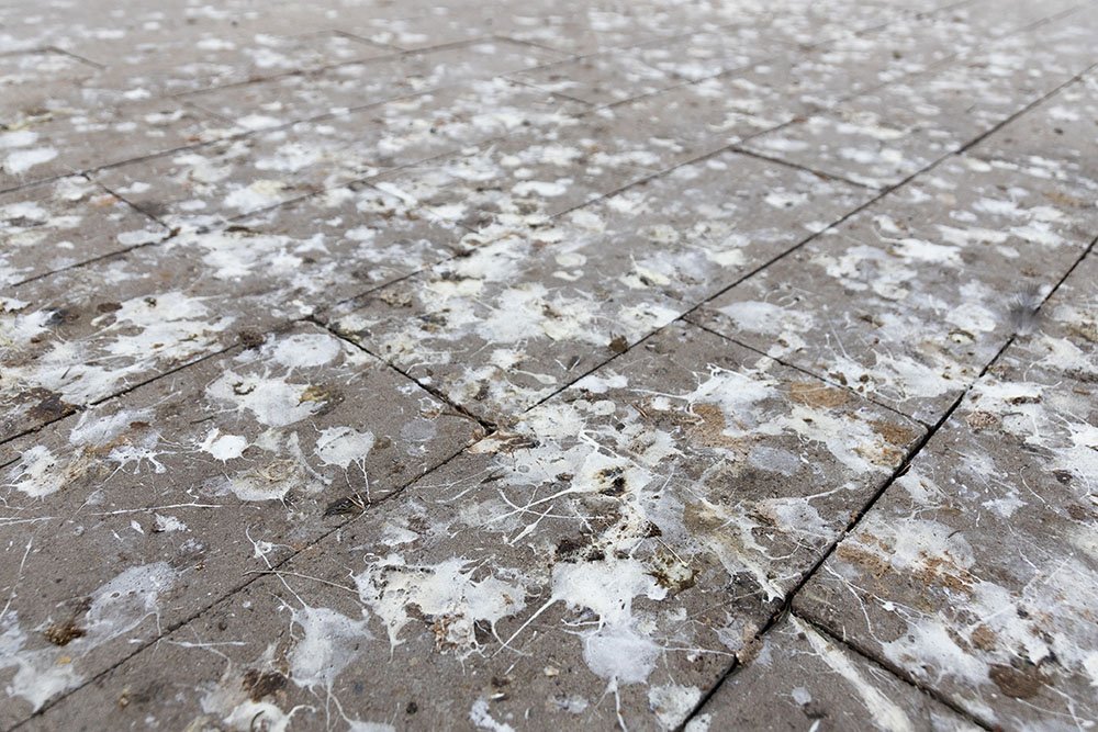 Close-up of a damaged brick or stone surface with white paint splatters and cracks.