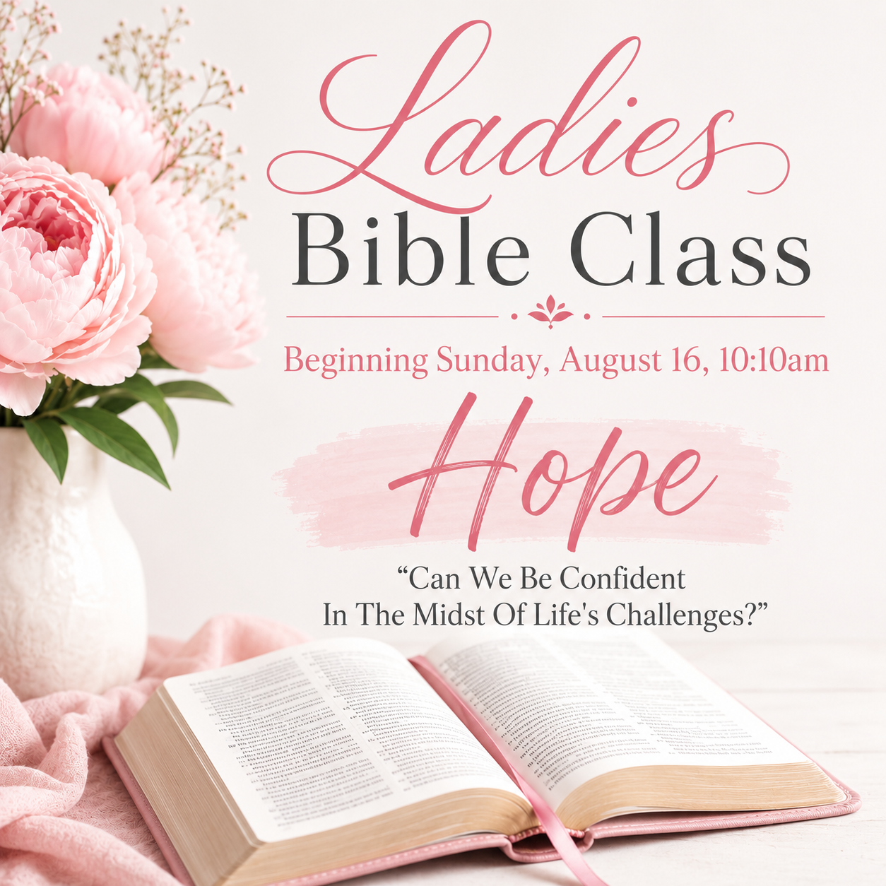 Ladies Bible Class Resumes