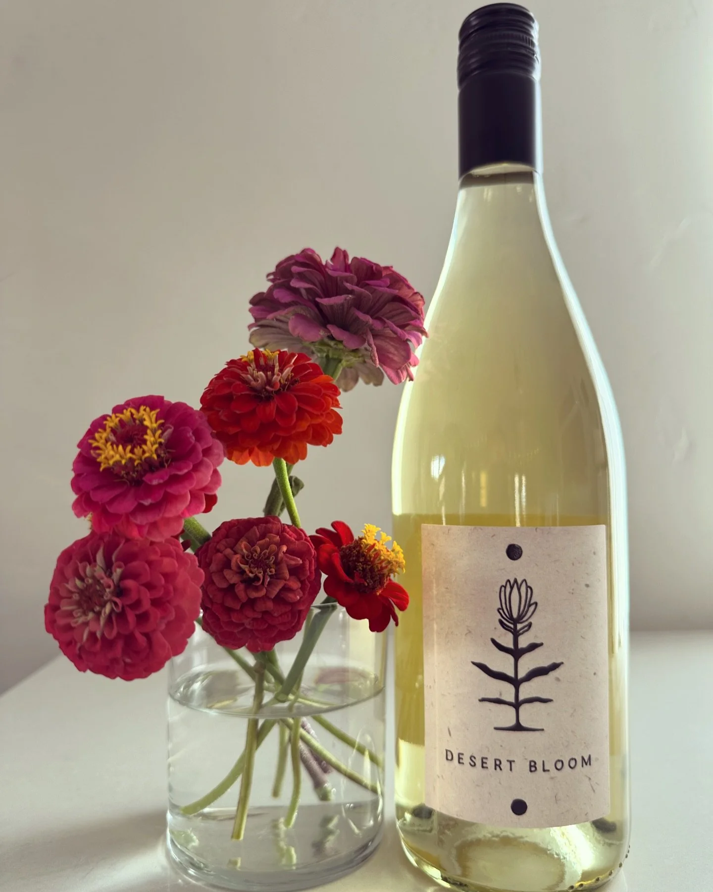 We planted some flower seeds that have started to bloom🌺! 
Our Desert Bloom Sauvignon Blanc is the perfect summer sipper for these hot summer days ☀️ Crisp and oh so refreshing 💦

#zennias 

#bloomwhereyoureplanted #desertbloom #sauvignonblanc #sum
