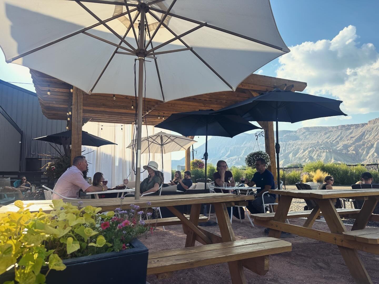 It's a beautiful day in Palisade! ☀️ A little warm outside, but we have air conditioning &bull; chilled wine &bull;  Fros&egrave; to help beat the heat!  Come say hi 👋 🍷