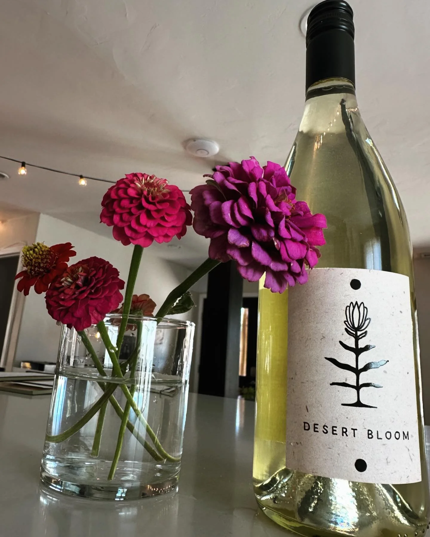 Desert Bloom Sauvignon Blanc &bull;&bull;&bull; Perfect Summer Sipper