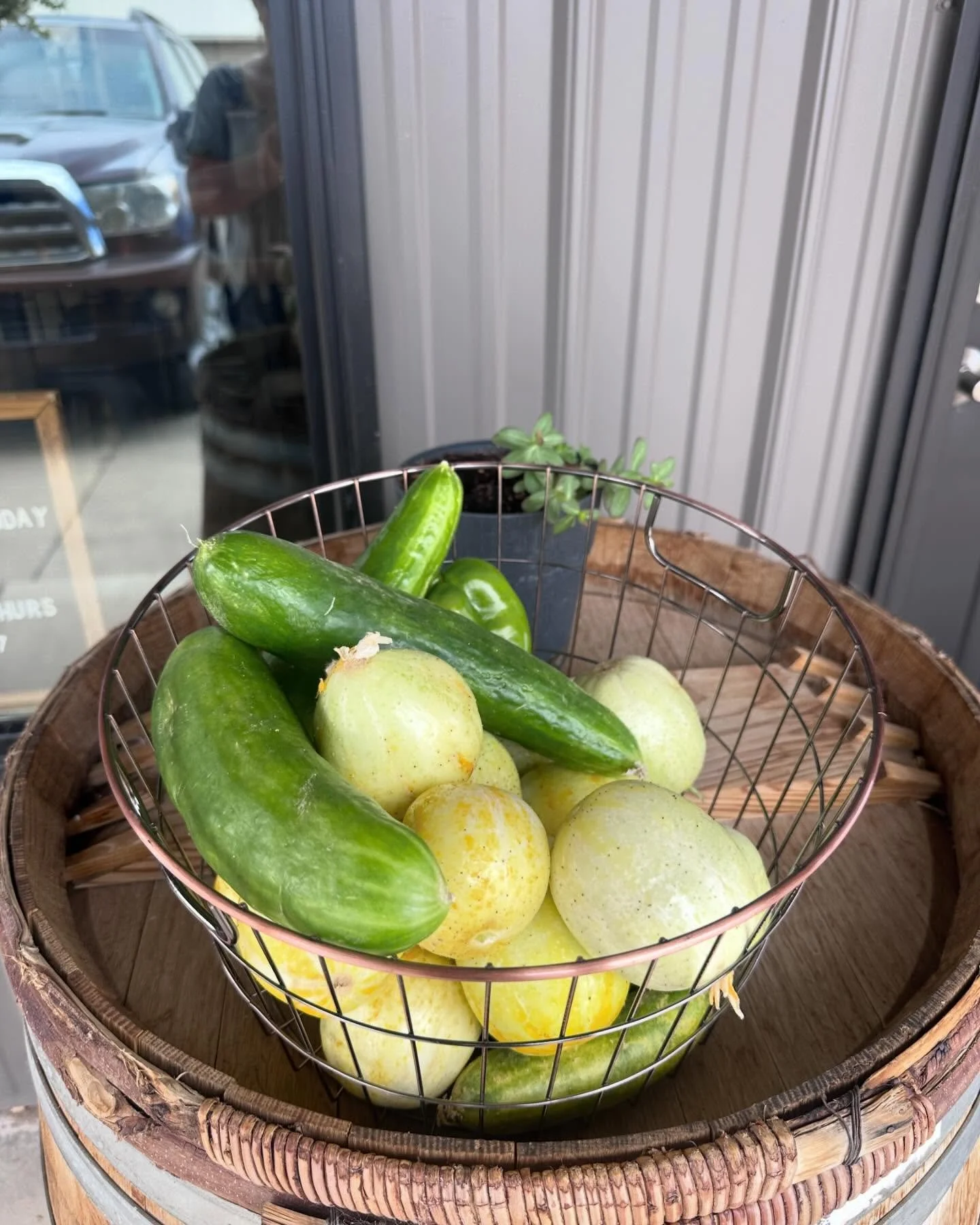 Our garden is over flowing with cucumbers!  Free come grab one :)
