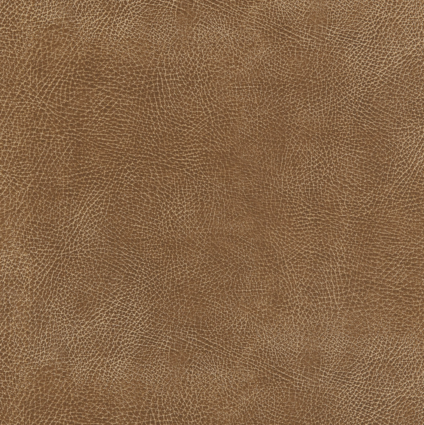 Screen+Shot+2023-11-16+at+8.17.17+AM.png